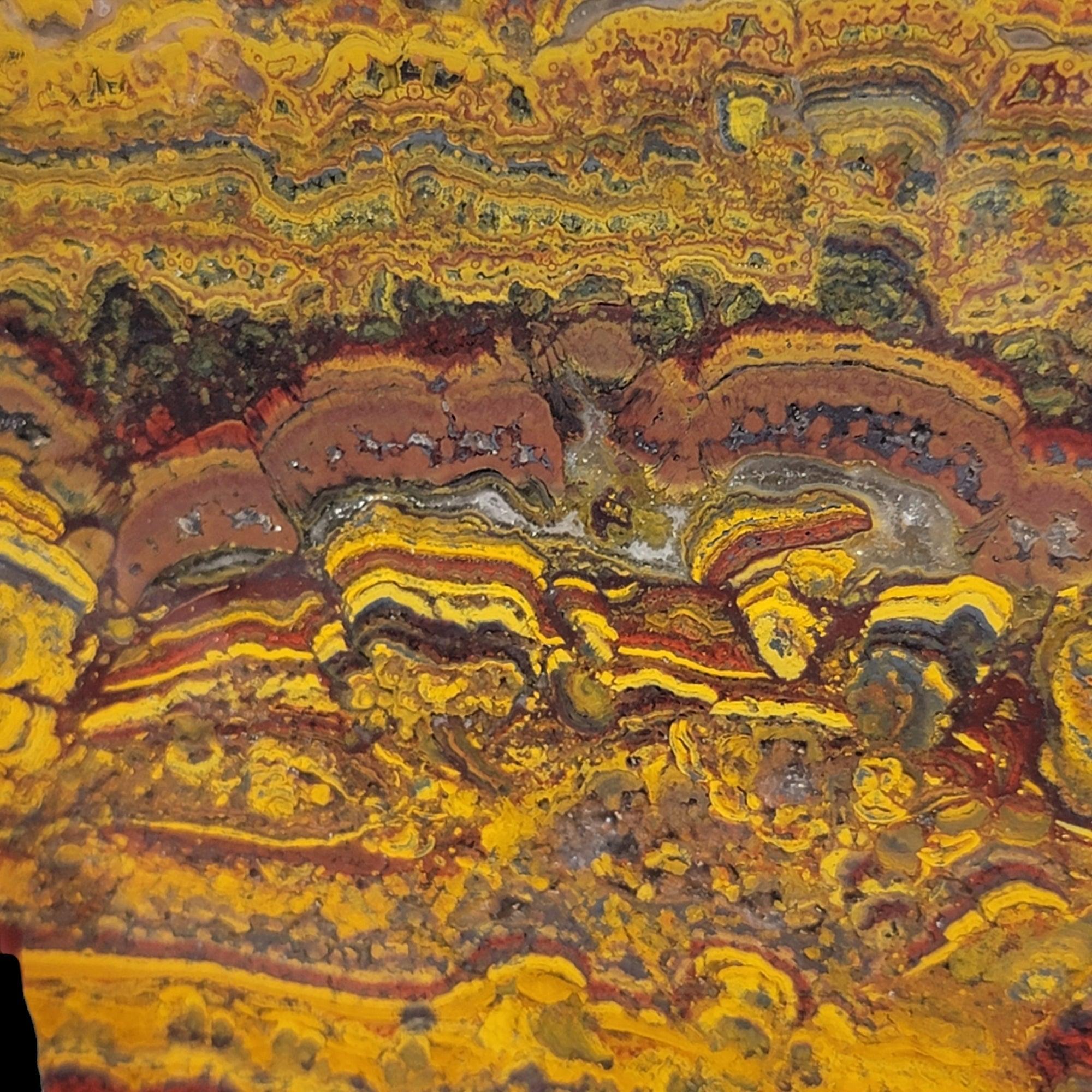 Apple Valley Jasper Slab! Fossil Stromatolite Slab! - LapidaryCentral