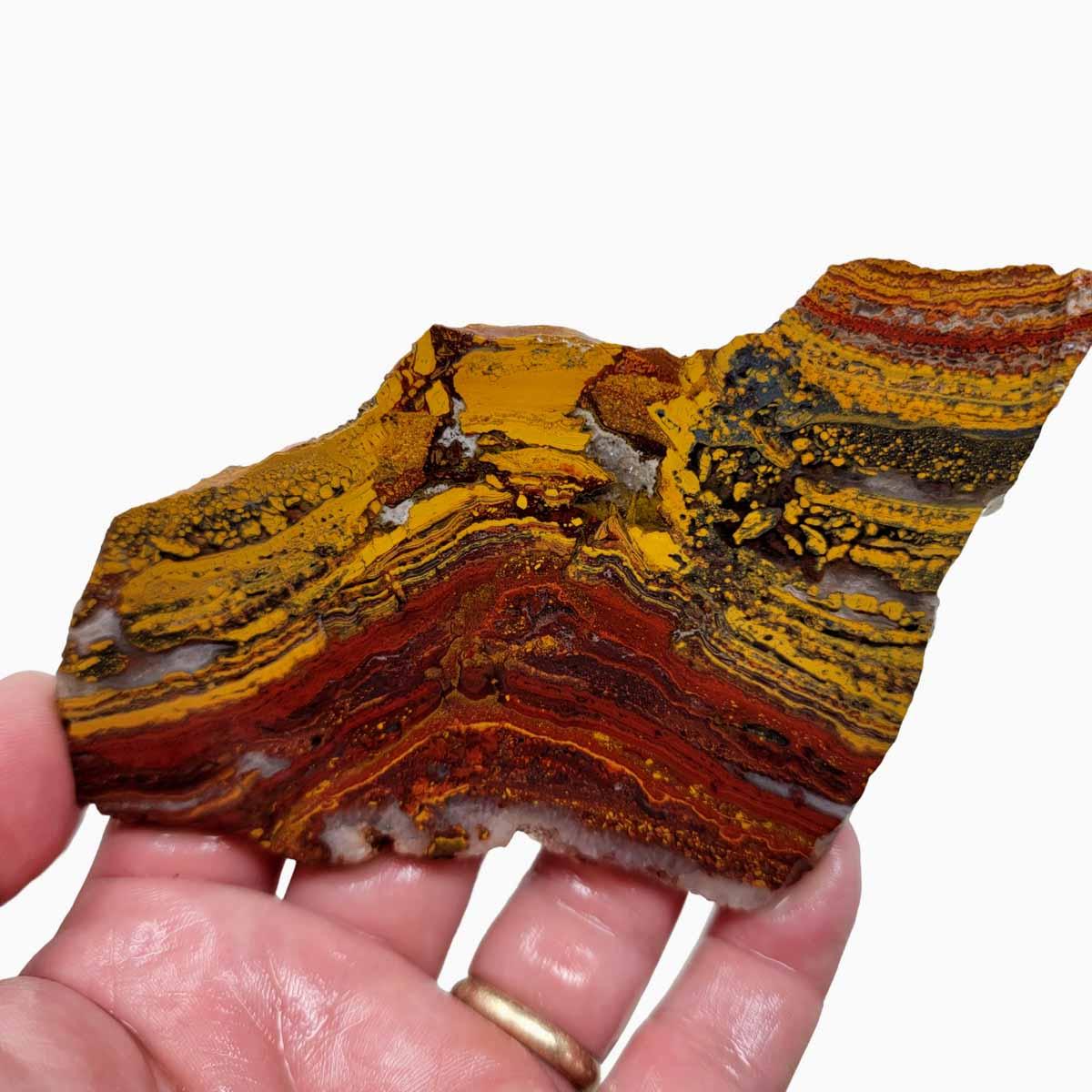 Apple Valley Jasper Slab! Fossil Stromatolite Slab! - LapidaryCentral