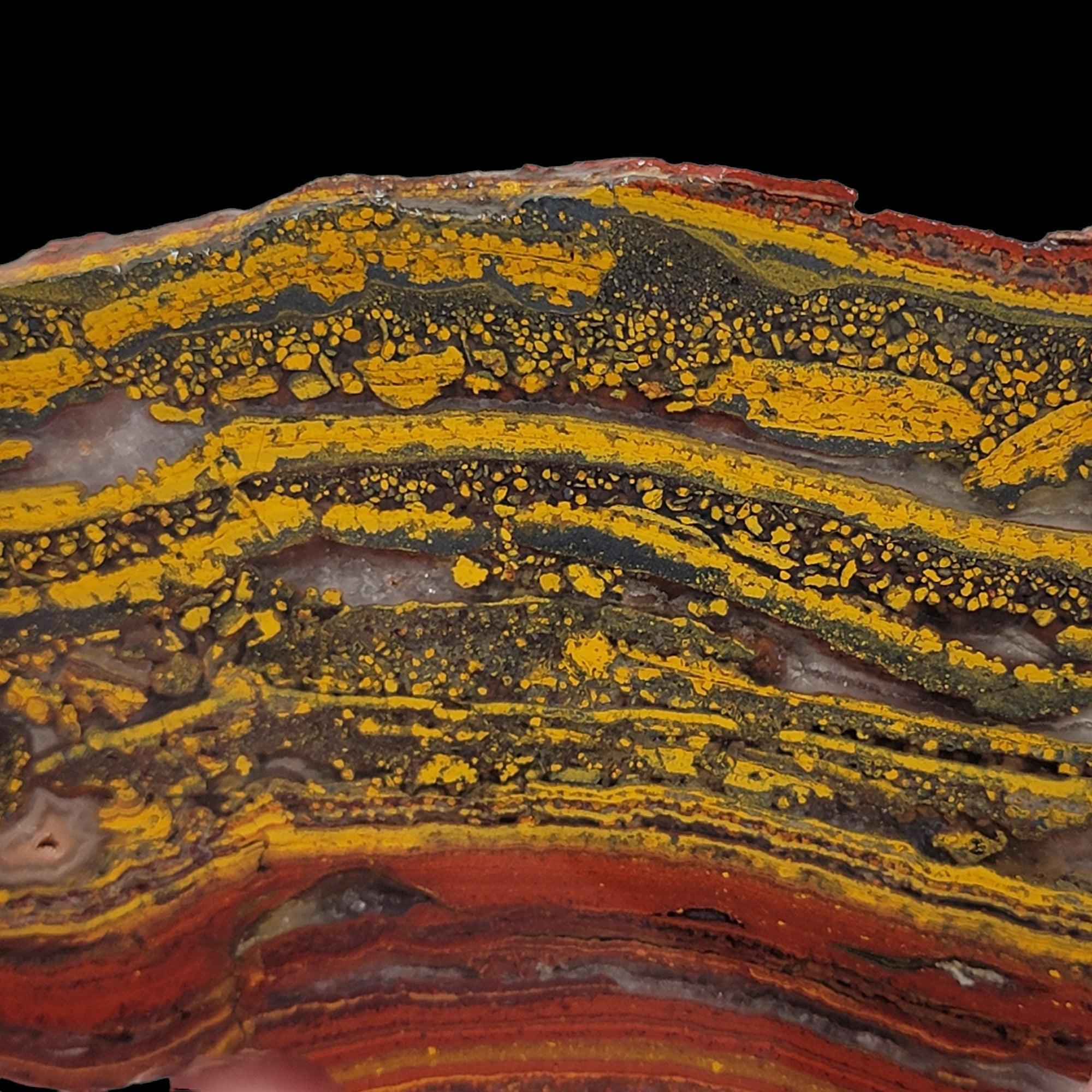 Apple Valley Jasper Slab! Fossil Stromatolite Slab! - LapidaryCentral