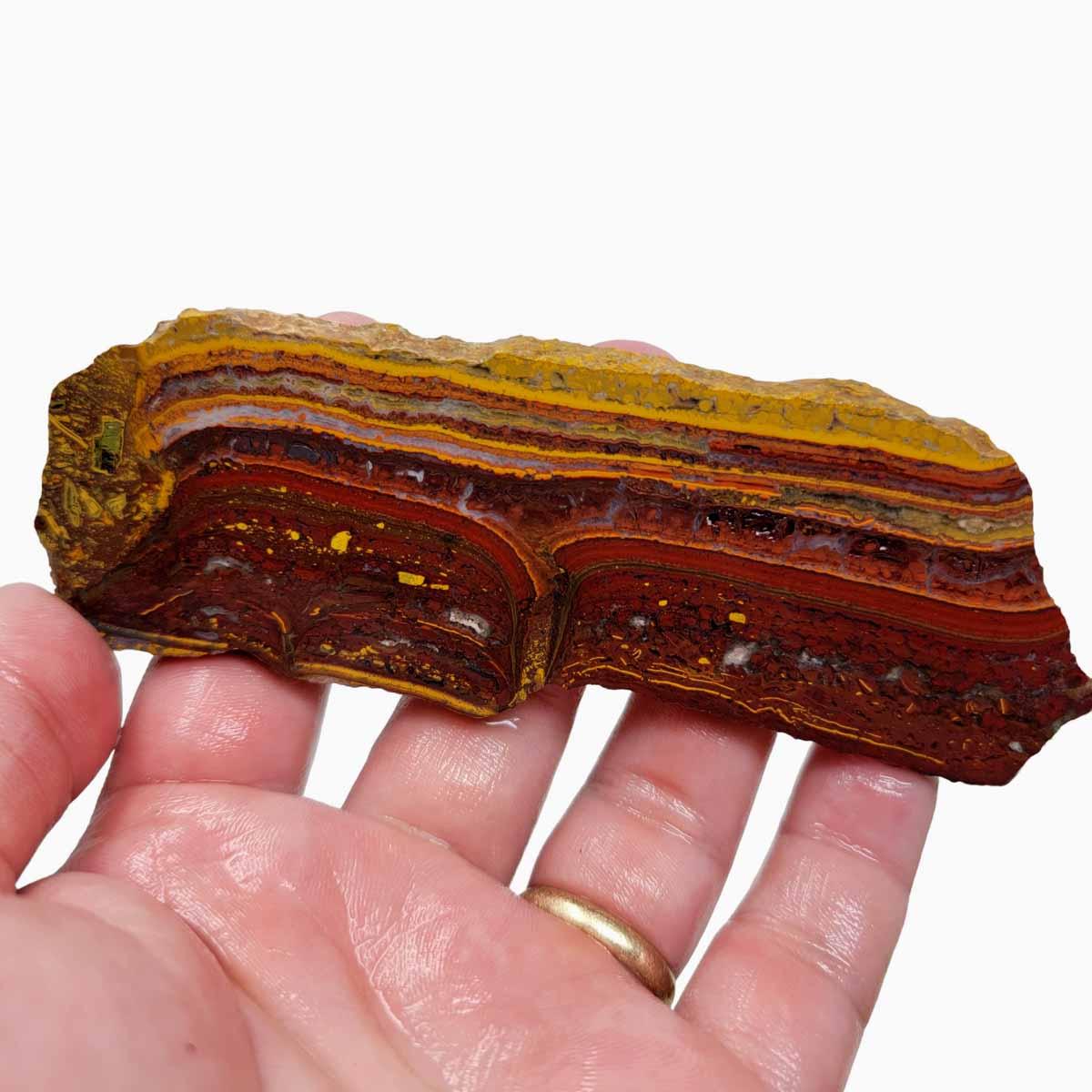 Apple Valley Jasper Slab! Fossil Stromatolite Slab! - LapidaryCentral