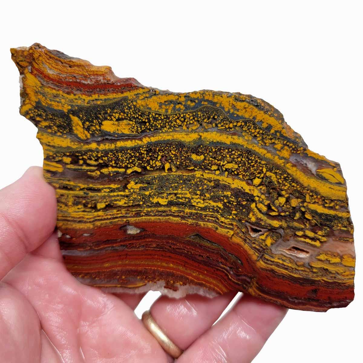 Apple Valley Jasper Slab! Fossil Stromatolite Slab! - LapidaryCentral