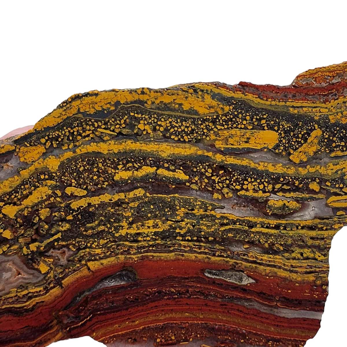 Apple Valley Jasper Slab! Fossil Stromatolite Slab! - Lapidary Central