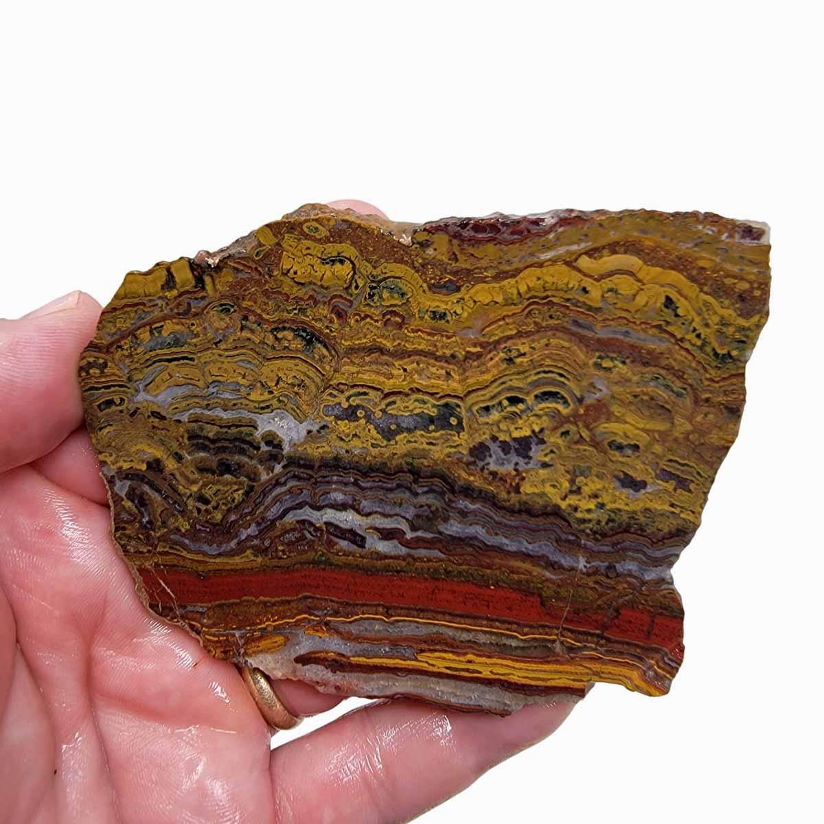 Apple Valley Jasper Slab! Fossil Stromatolite Slab! - Lapidary Central