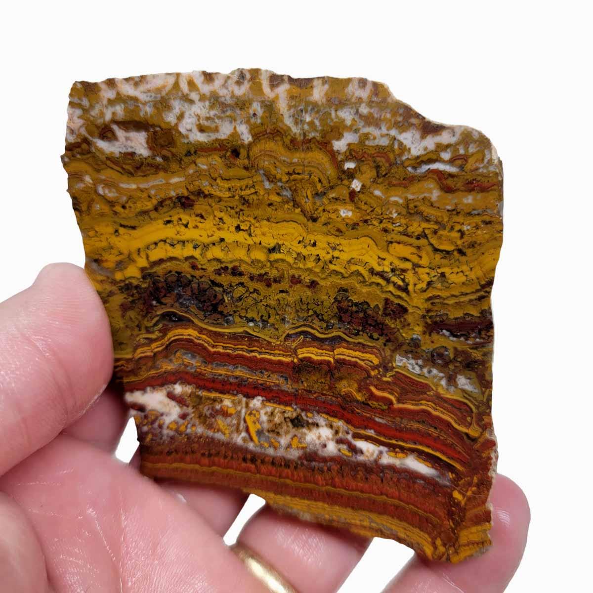 Apple Valley Jasper Slab! Fossil Stromatolite Slab! - LapidaryCentral