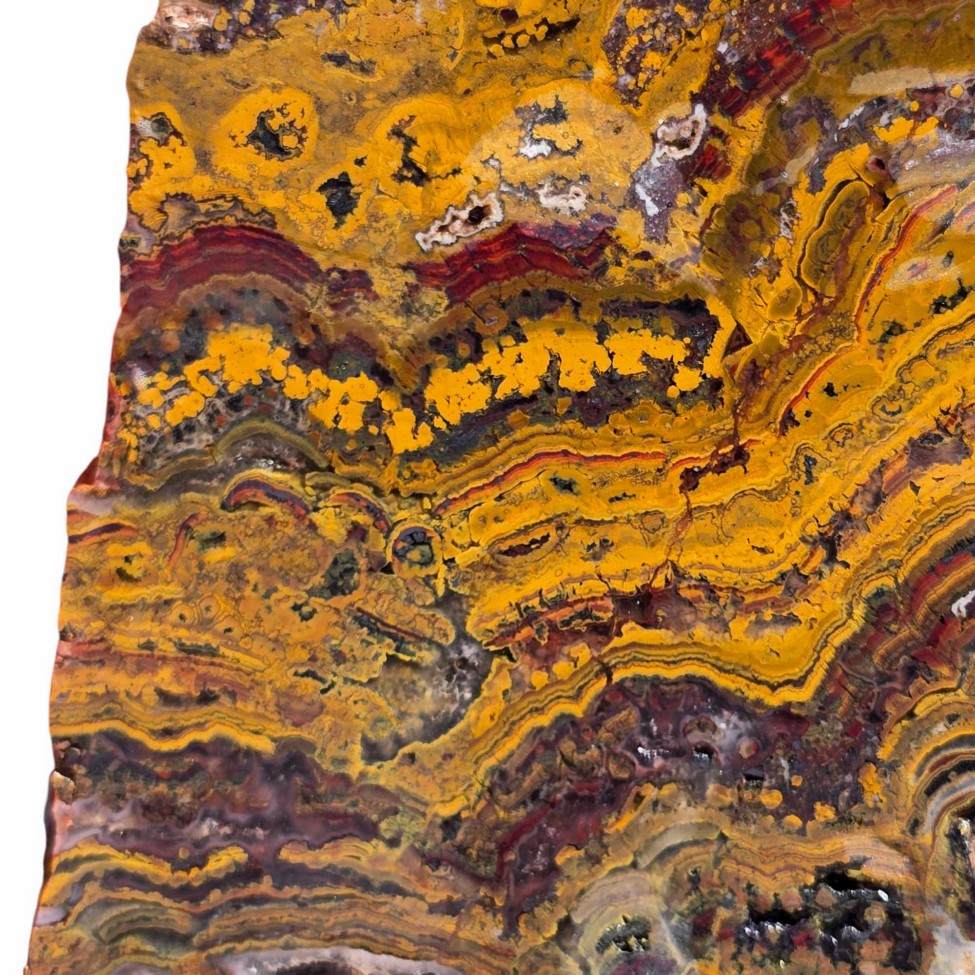 Apple Valley Jasper Slab – Fossil Stromatolite Lapidary Stone from Morocco