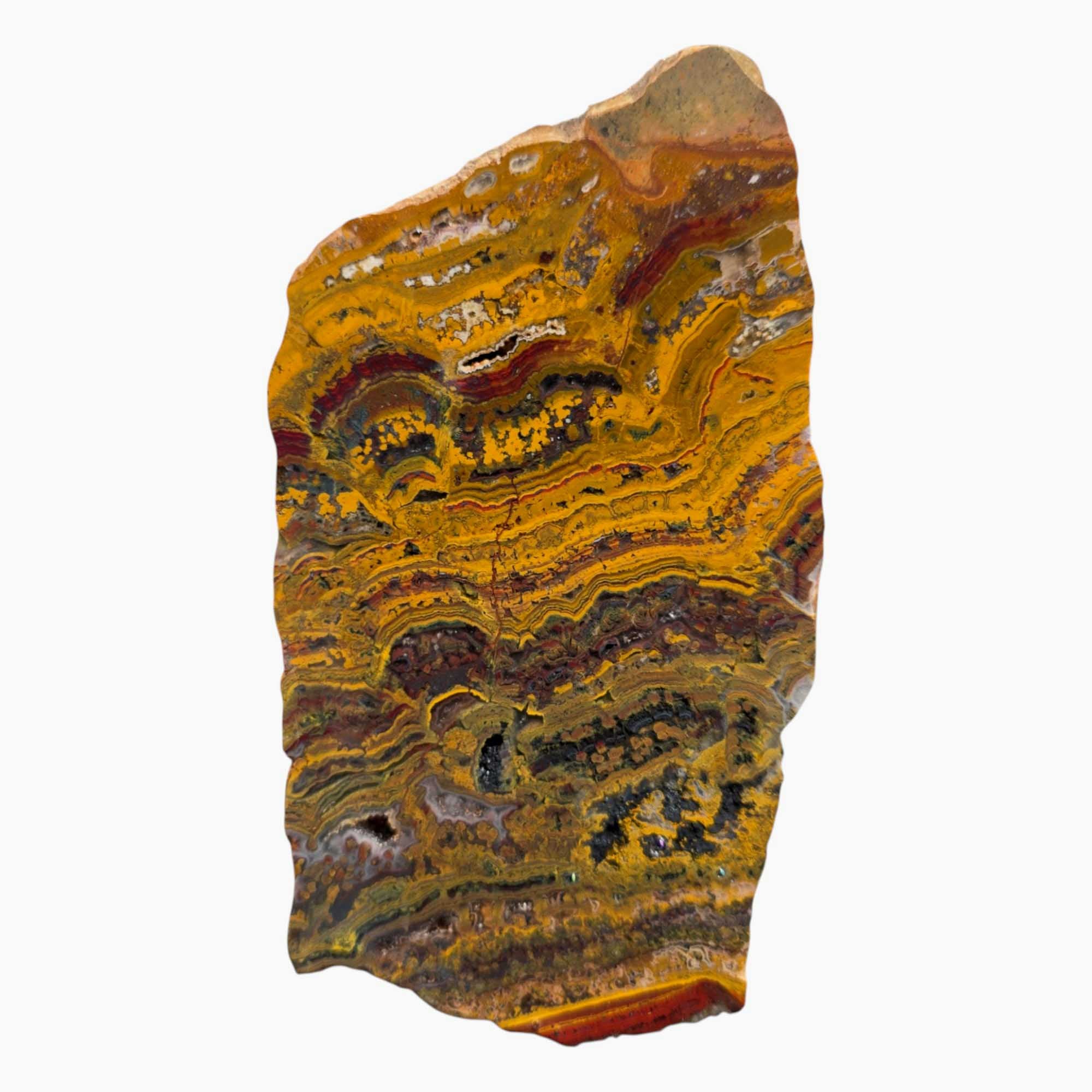 Apple Valley Jasper Slab – Flowing Stromatolite with Sparkling Quartz
