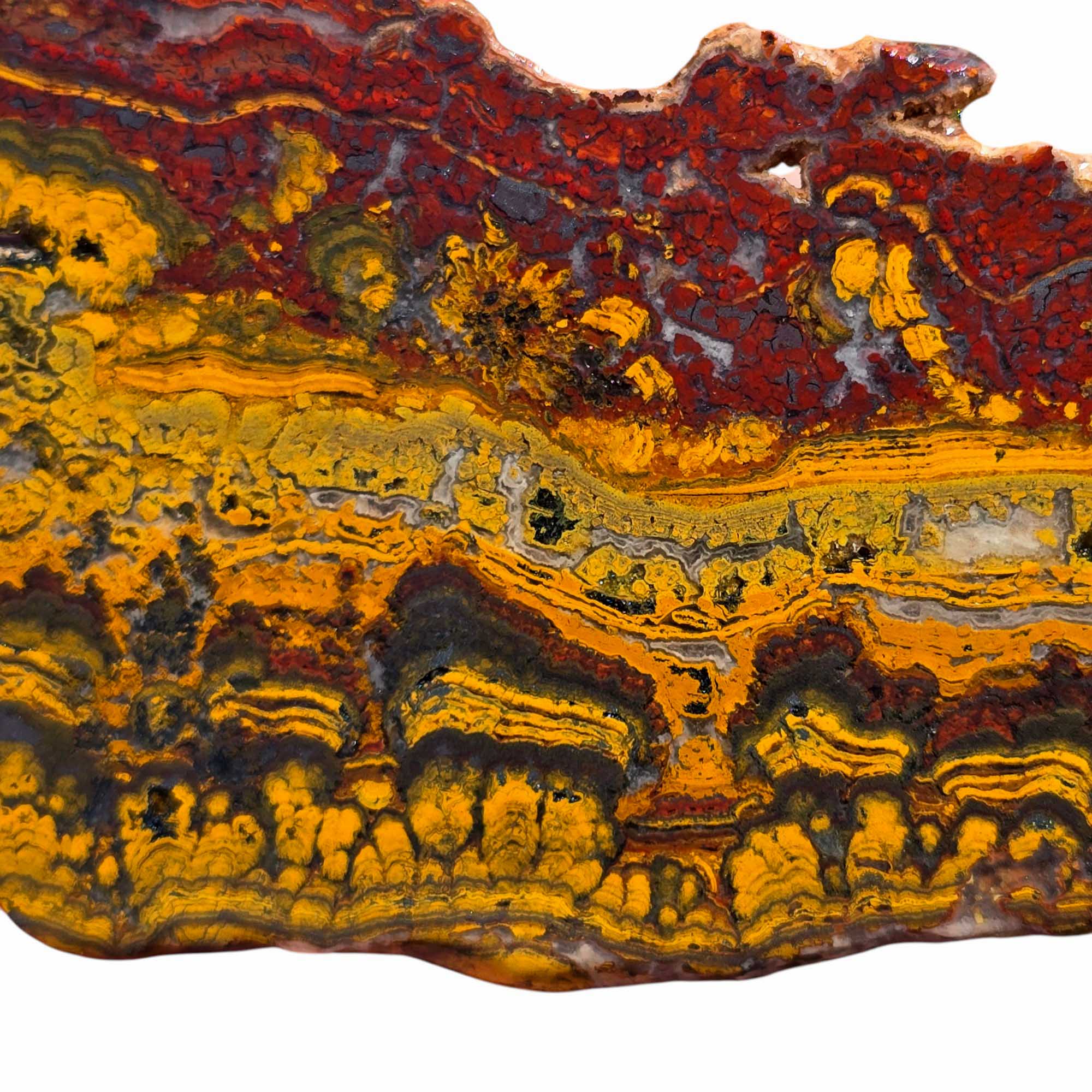 Thin Apple Valley Jasper Slab – Hematite & Jasper Flower Pattern