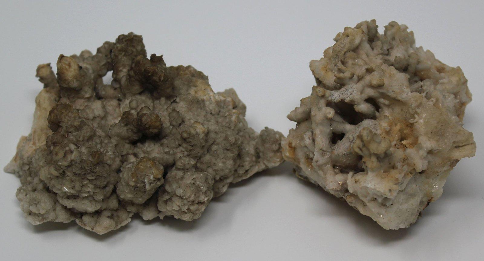 RARE White Aragonite Crystal Cluster Formation! GORGEOUS!!! - LapidaryCentral