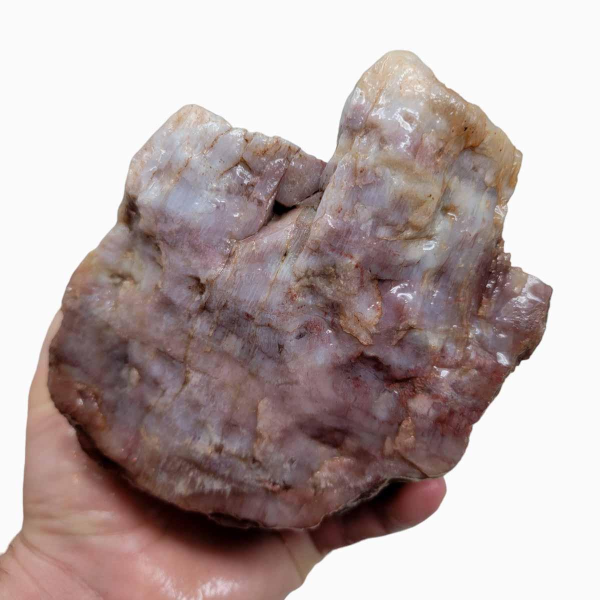 Arizona Rainbow Petrified Wood Rough Chunk - Multicolor Moss! #R366-Photo1