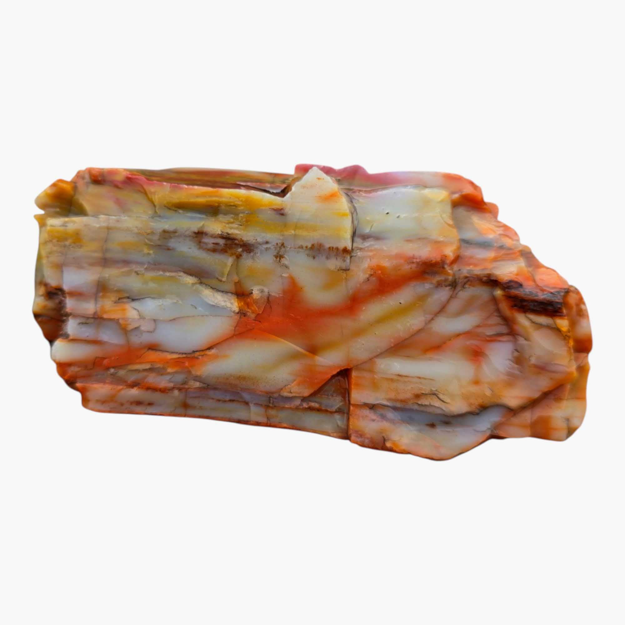 Arizona Rainbow Petrified Wood Rough – Fractured Specimen Bold Reds Purples #R911-1
