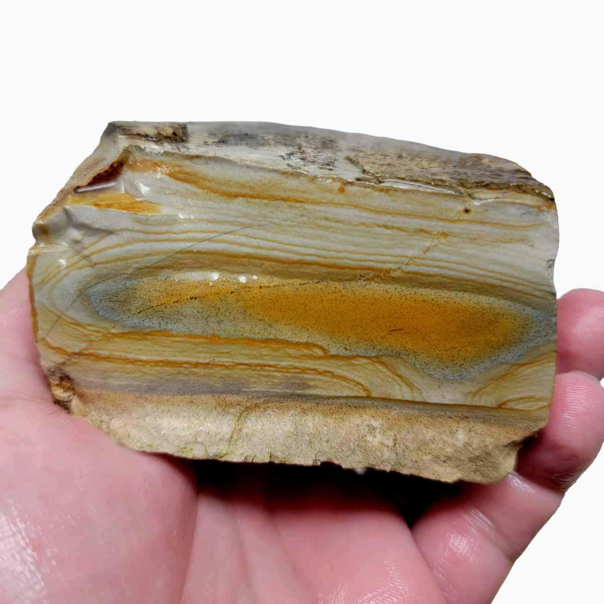 Arroyo Picture Jasper Rough Chunk! - LapidaryCentral