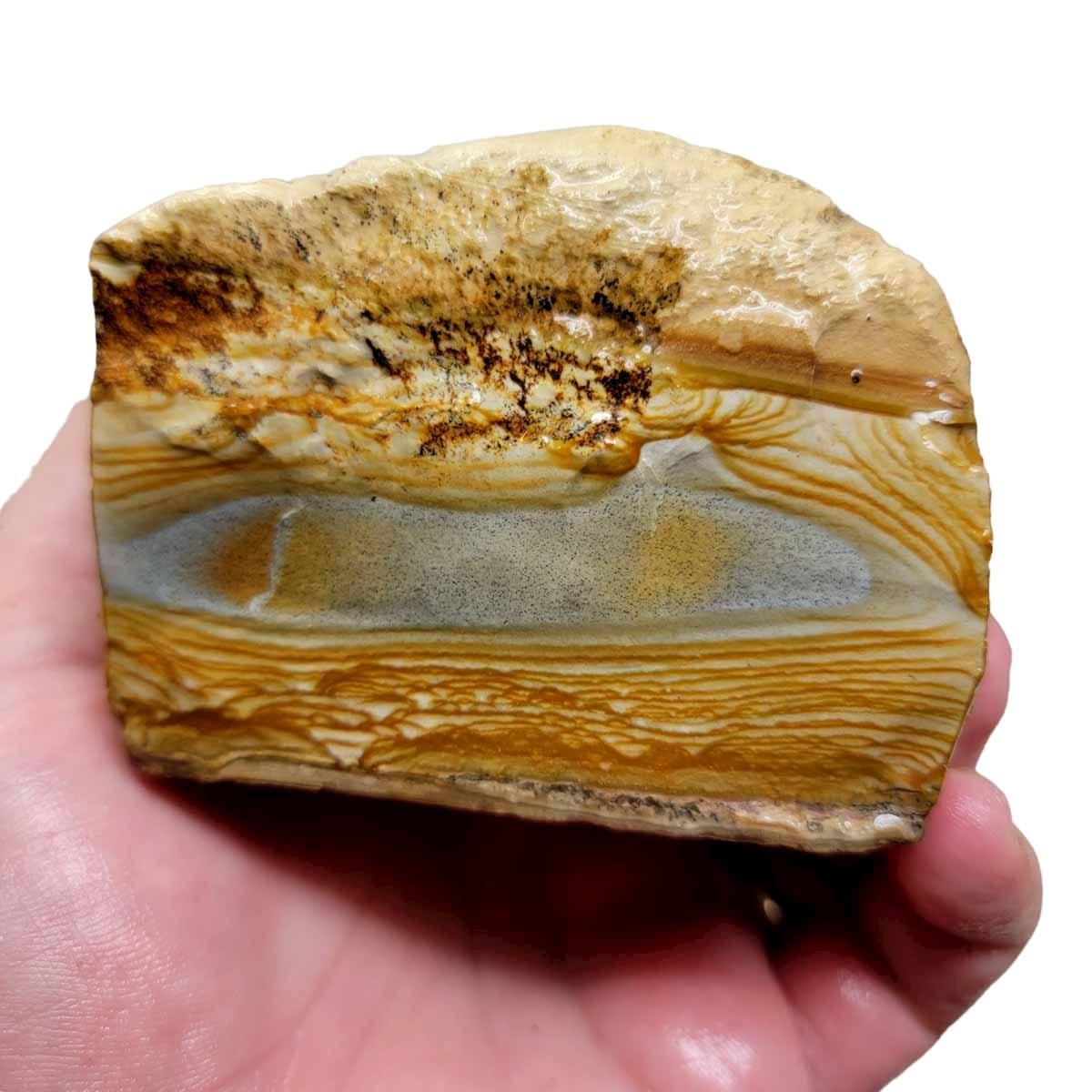 Arroyo Picture Jasper Rough Chunk! - LapidaryCentral