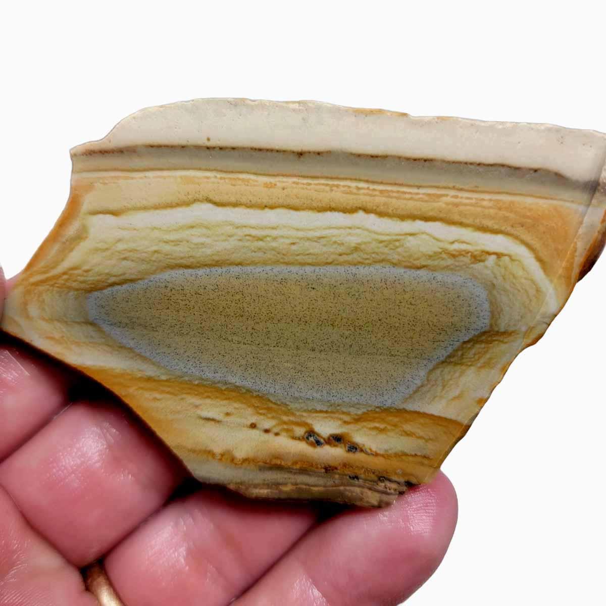 Old Stock Arroyo Picture Jasper Slab! Lapidary Stone Slab! - LapidaryCentral