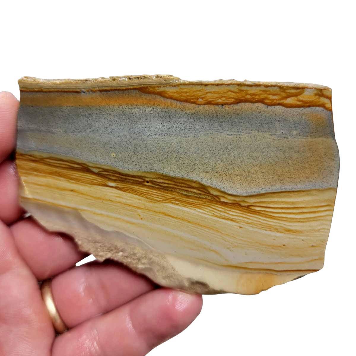 Old Stock Arroyo Picture Jasper Slab! Lapidary Stone Slab! - LapidaryCentral