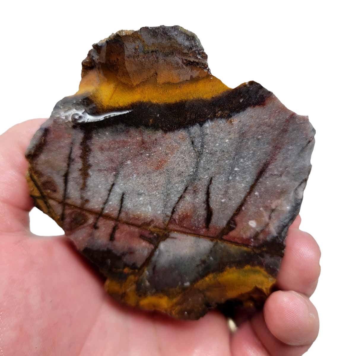 Cut Australian Outback Jasper Rough Chunk!