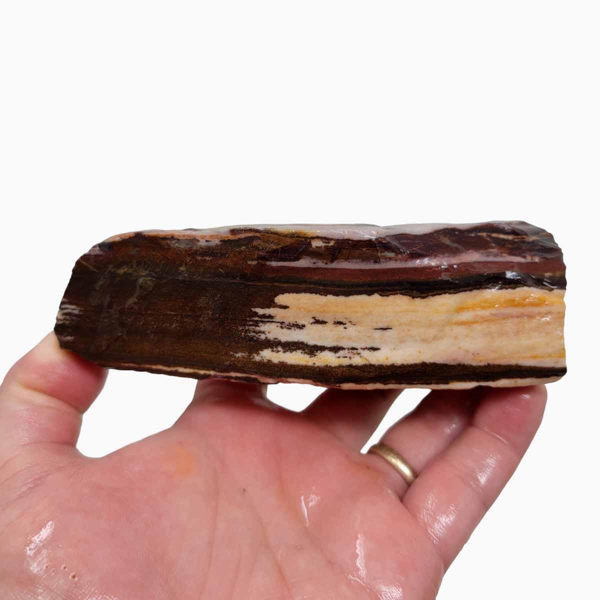 Australian Outback Jasper Rough Chunk! - Lapidary Central