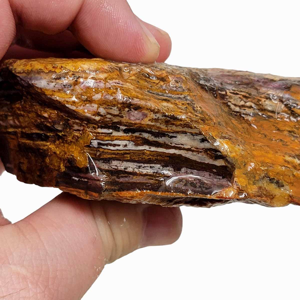 Australian Outback Jasper Rough Chunk! - LapidaryCentral