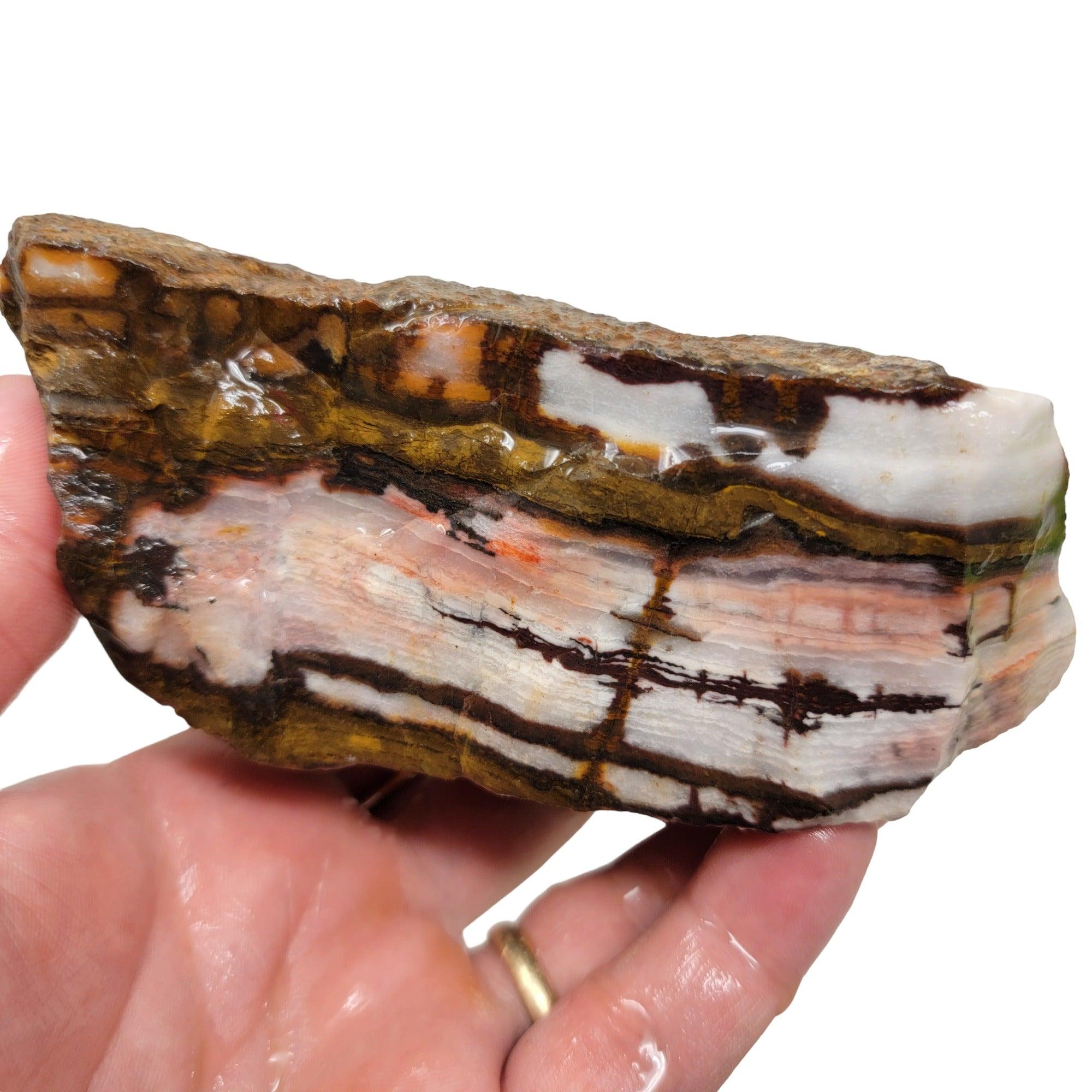 Australian Outback Jasper Rough Chunk! - LapidaryCentral