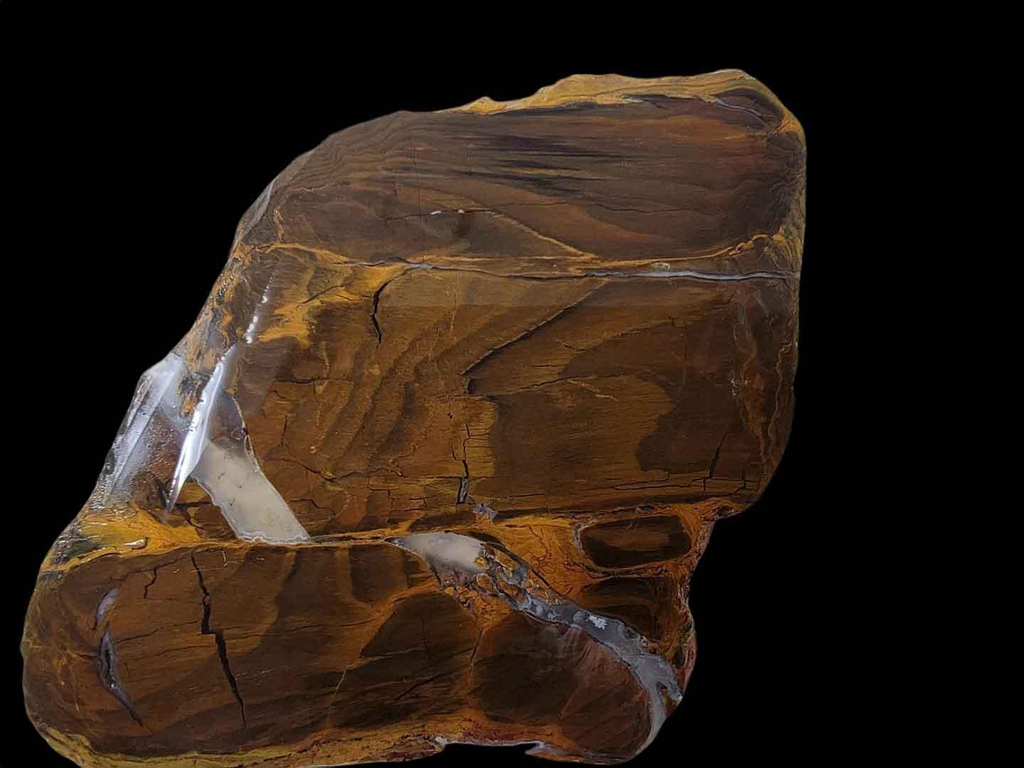 Old Stock Australian Petrified Wood Slab Herringbone Pattern! #2107-Photo1