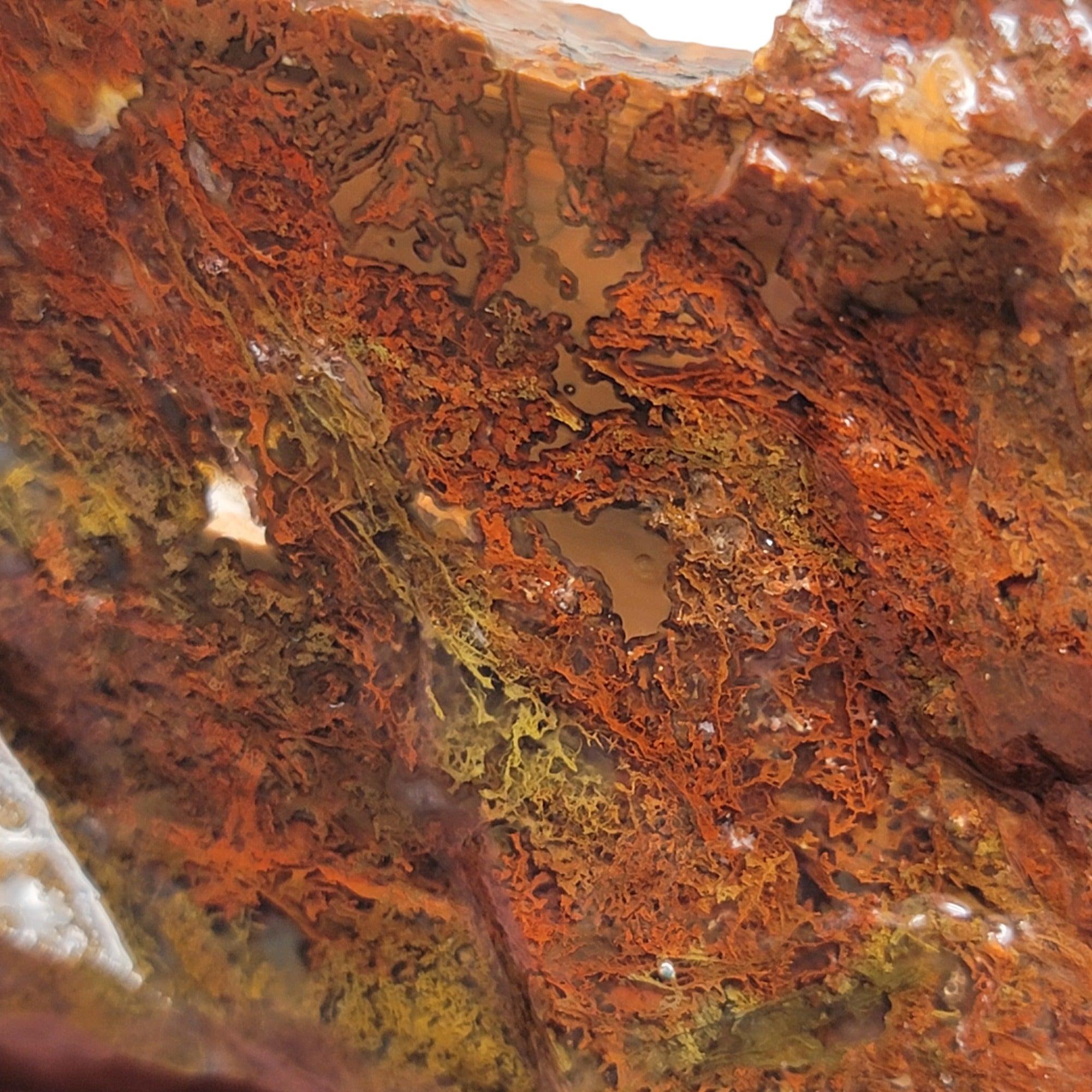 Rare Bat Cave Rim Jasper Rough Chunk! - Lapidary Central