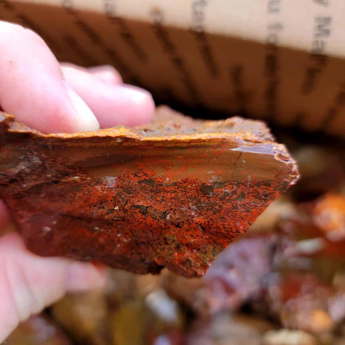 RARE Rim Jasper Bat Cave Moss Agate Rough Cutting Flatrate! - Lapidary Central