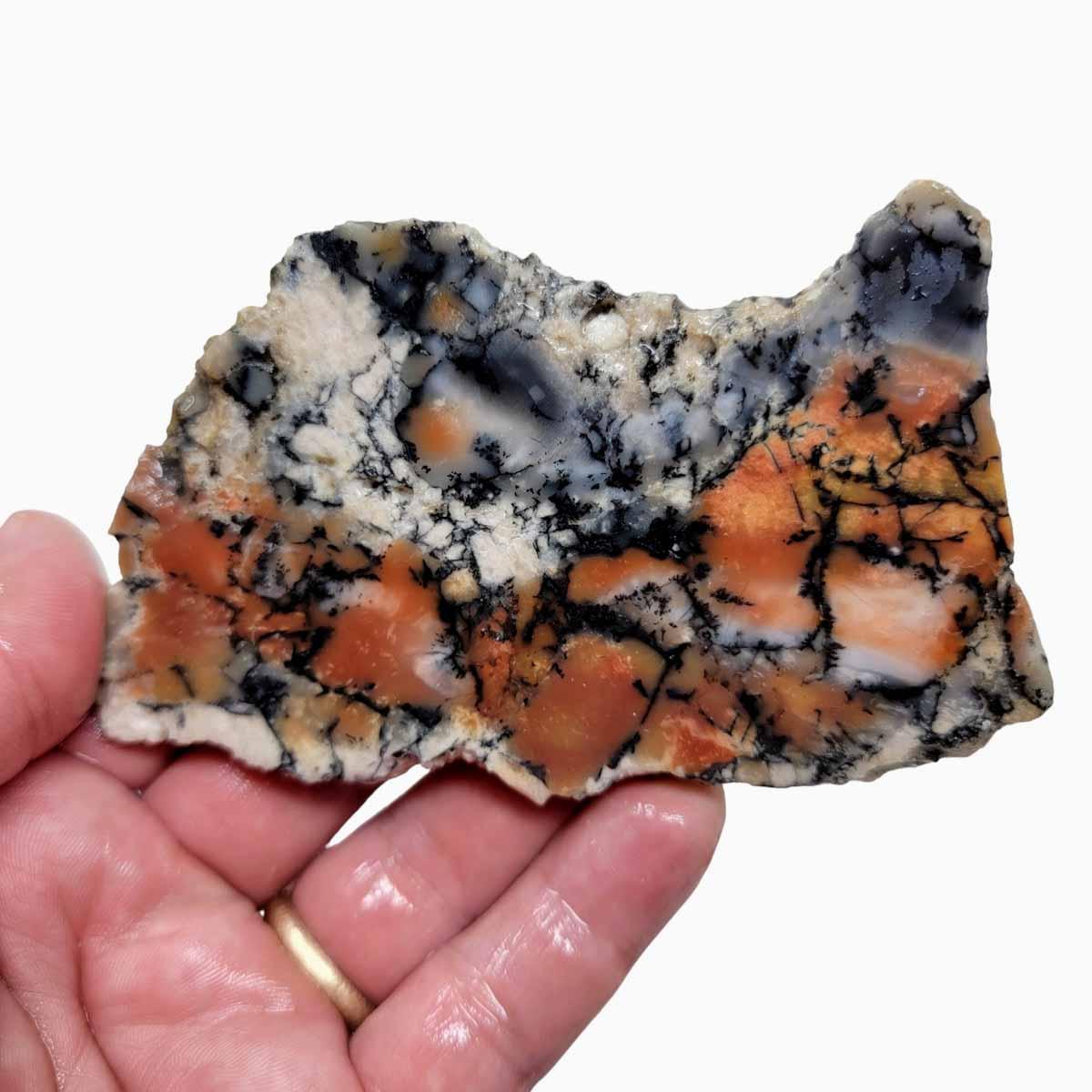 Tiffany Opal Bertrandite Slab! Lapidary Stone Slab! - Lapidary Central