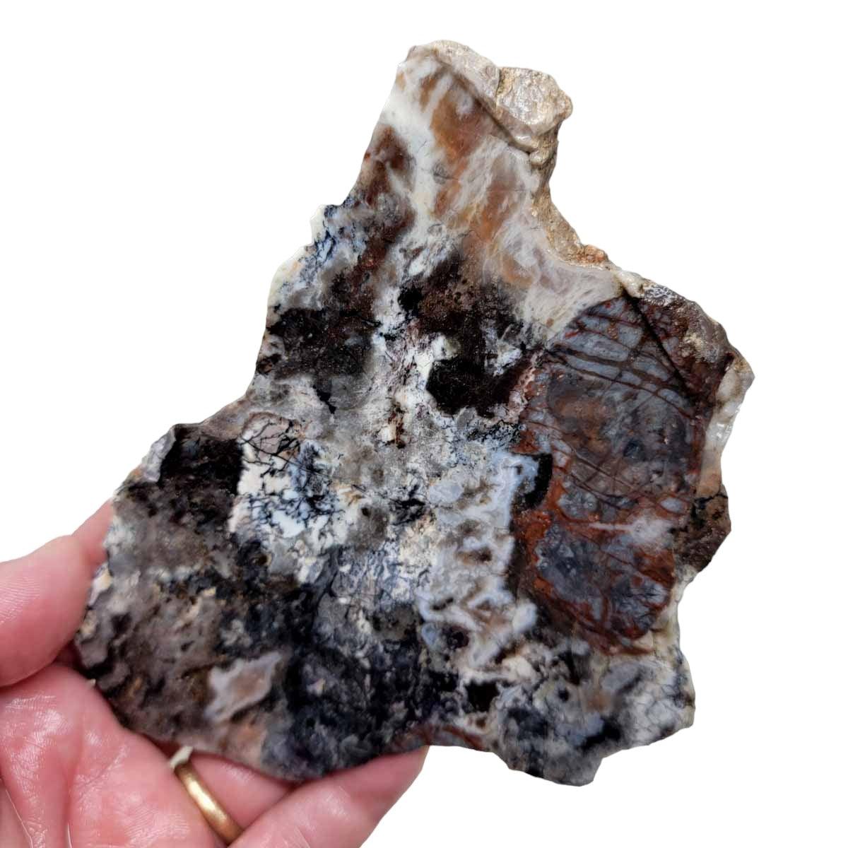 Tiffany Opal Betrandite Slab! Lapidary Stone Slab! - Lapidary Central