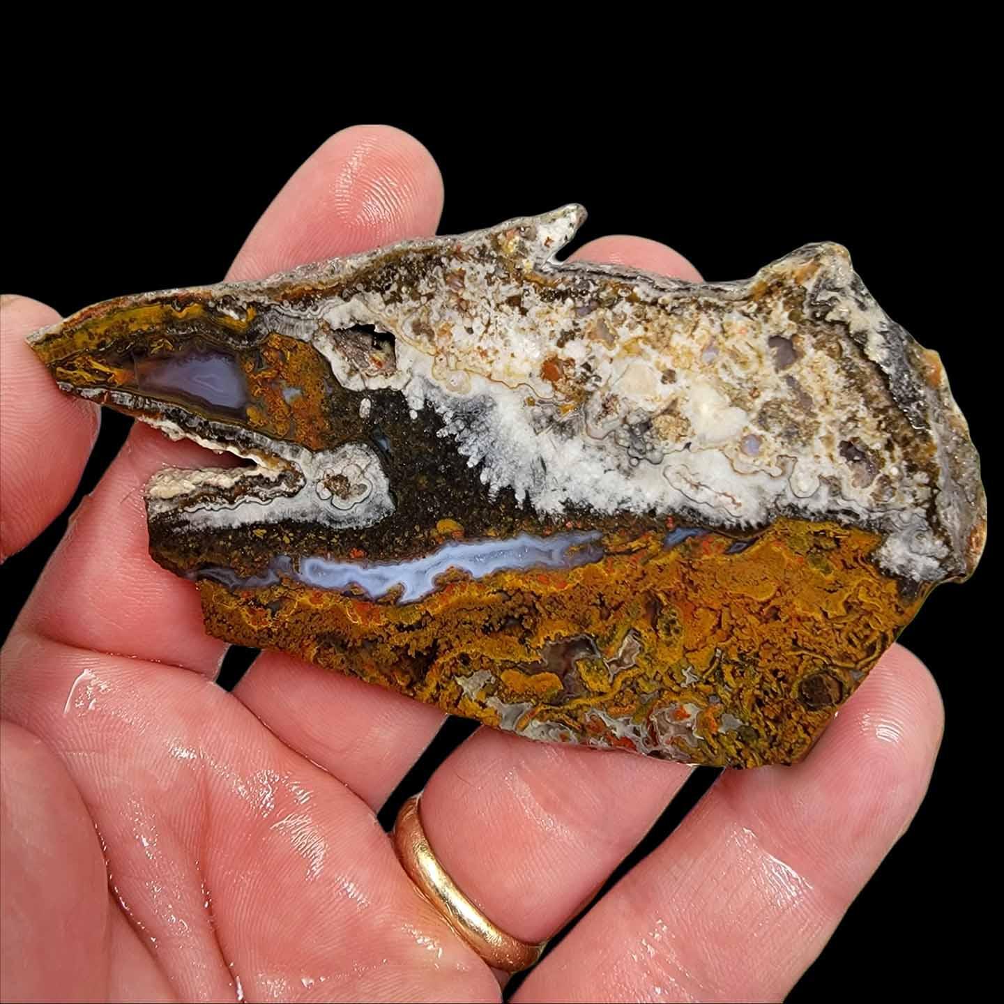 Big Diggins Agate Slab! Old Stock Lapidary Slab! - LapidaryCentral