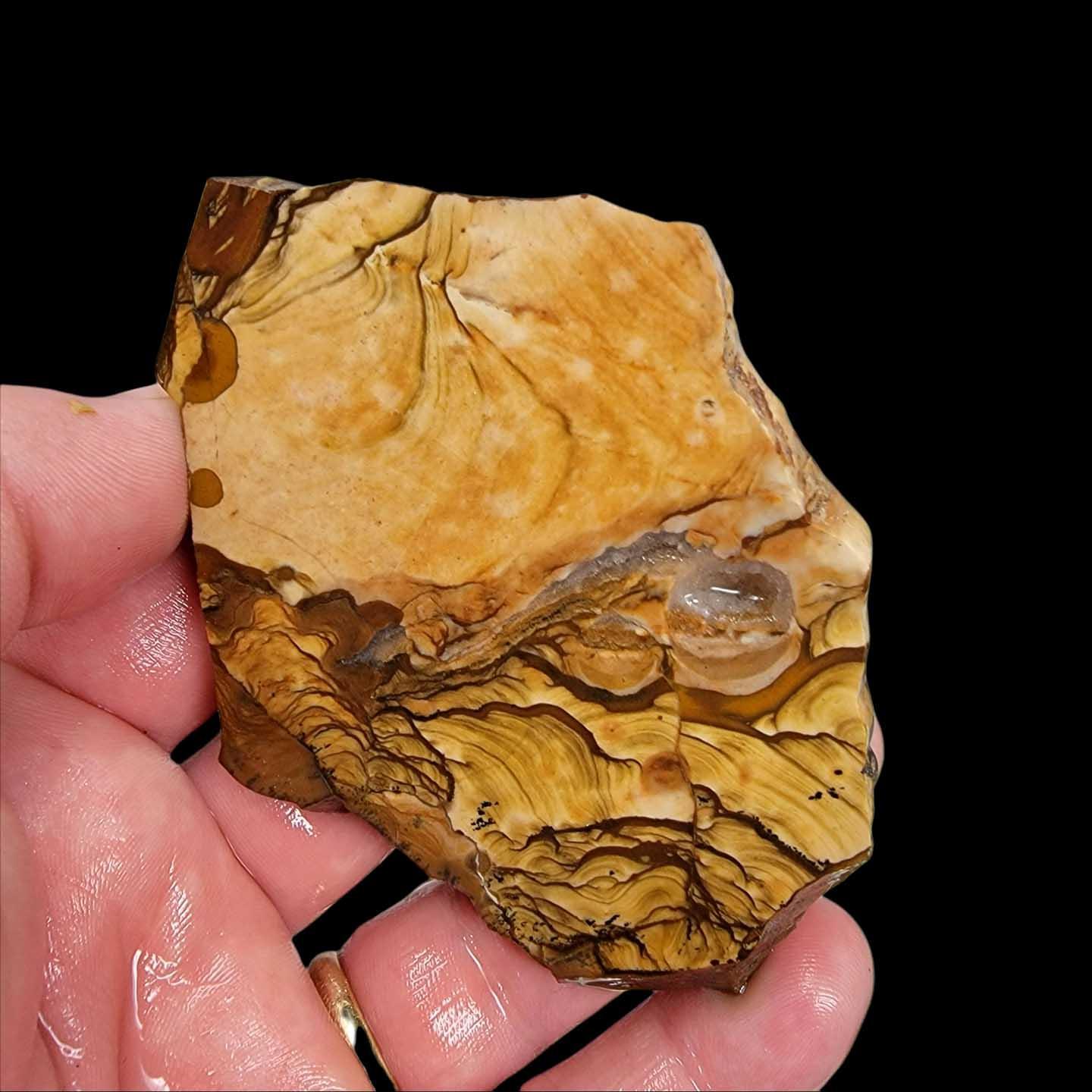 Old Stock Biggs Picture Jasper Slab! Lapidary Stone Slab! - LapidaryCentral