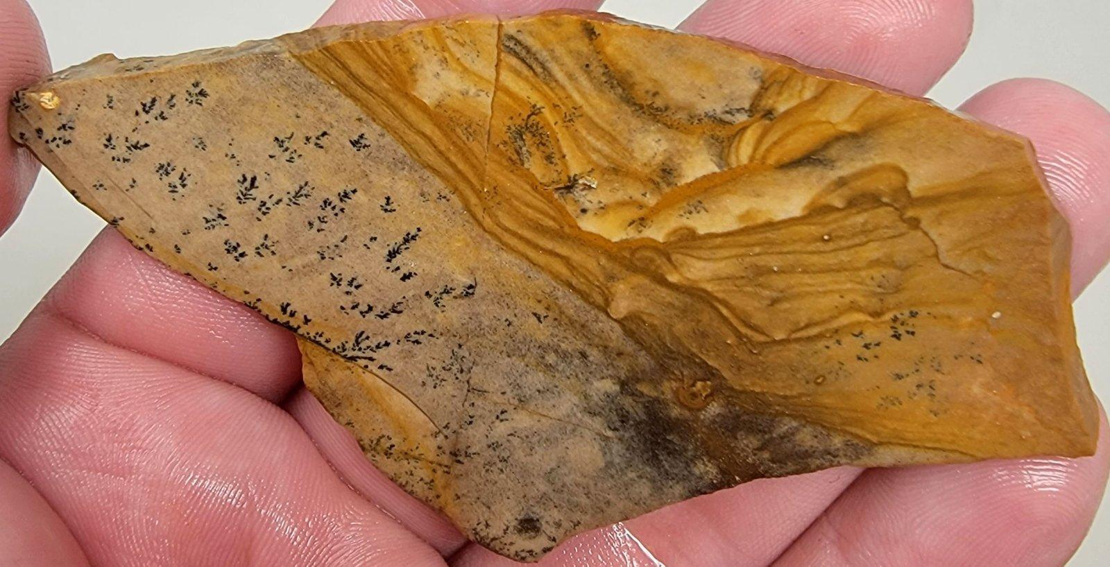 Old Stock Biggs Picture Jasper Slab! Lapidary Stone Slab! - LapidaryCentral