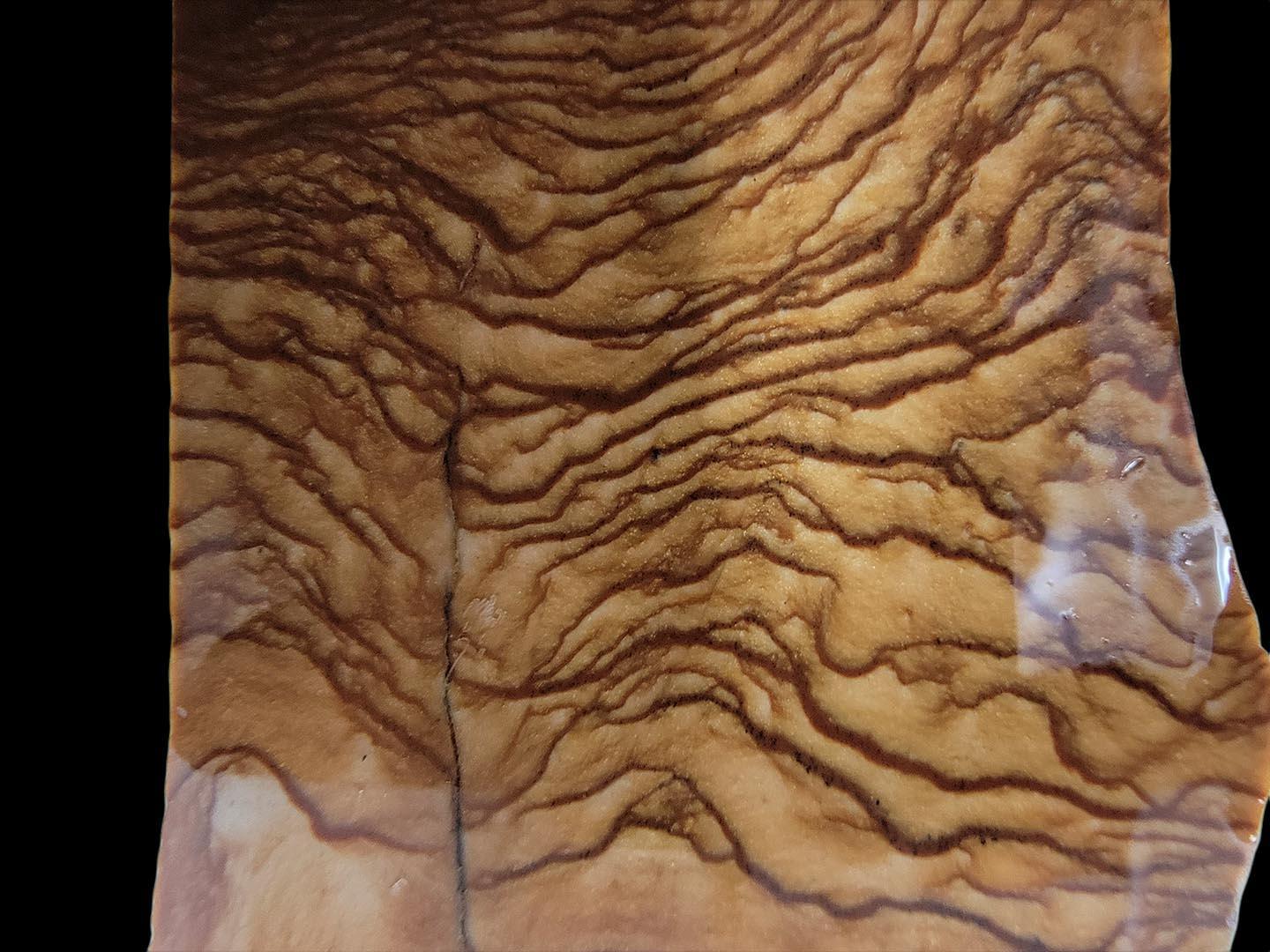 Old Stock Biggs Picture Jasper Slab! Lapidary Stone Slab! - LapidaryCentral