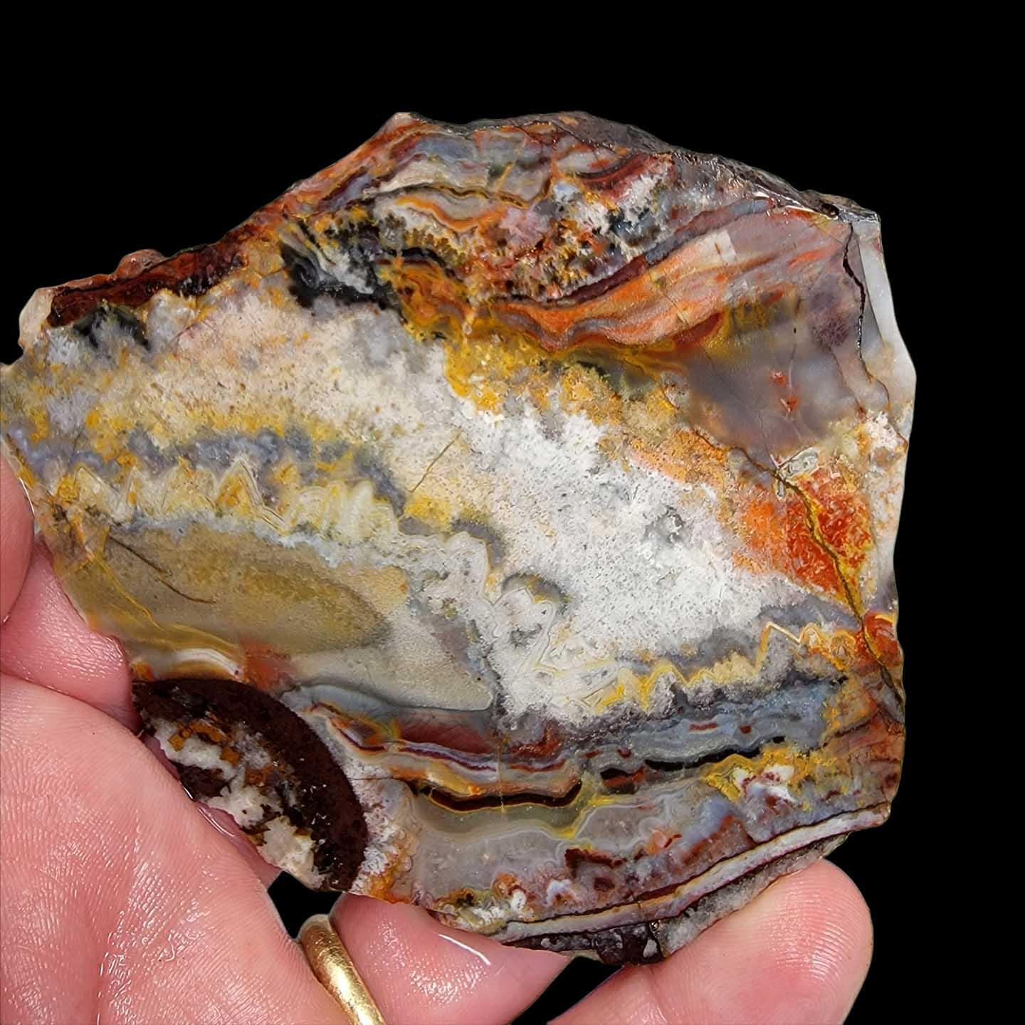 Sarape Jasper Slab! Lapidary Stone Slab! Crazy Lace Relative - LapidaryCentral