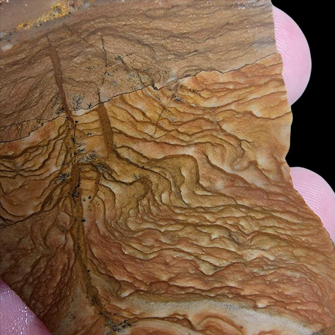 Old Stock Biggs Picture Jasper Slab! Lapidary Stone Slab! - LapidaryCentral