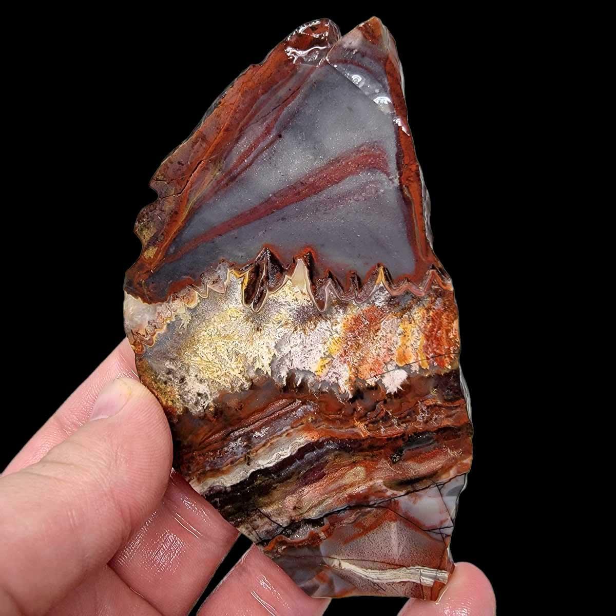 Sarape Jasper Slab! Lapidary Stone Slab! Crazy Lace Relative - LapidaryCentral