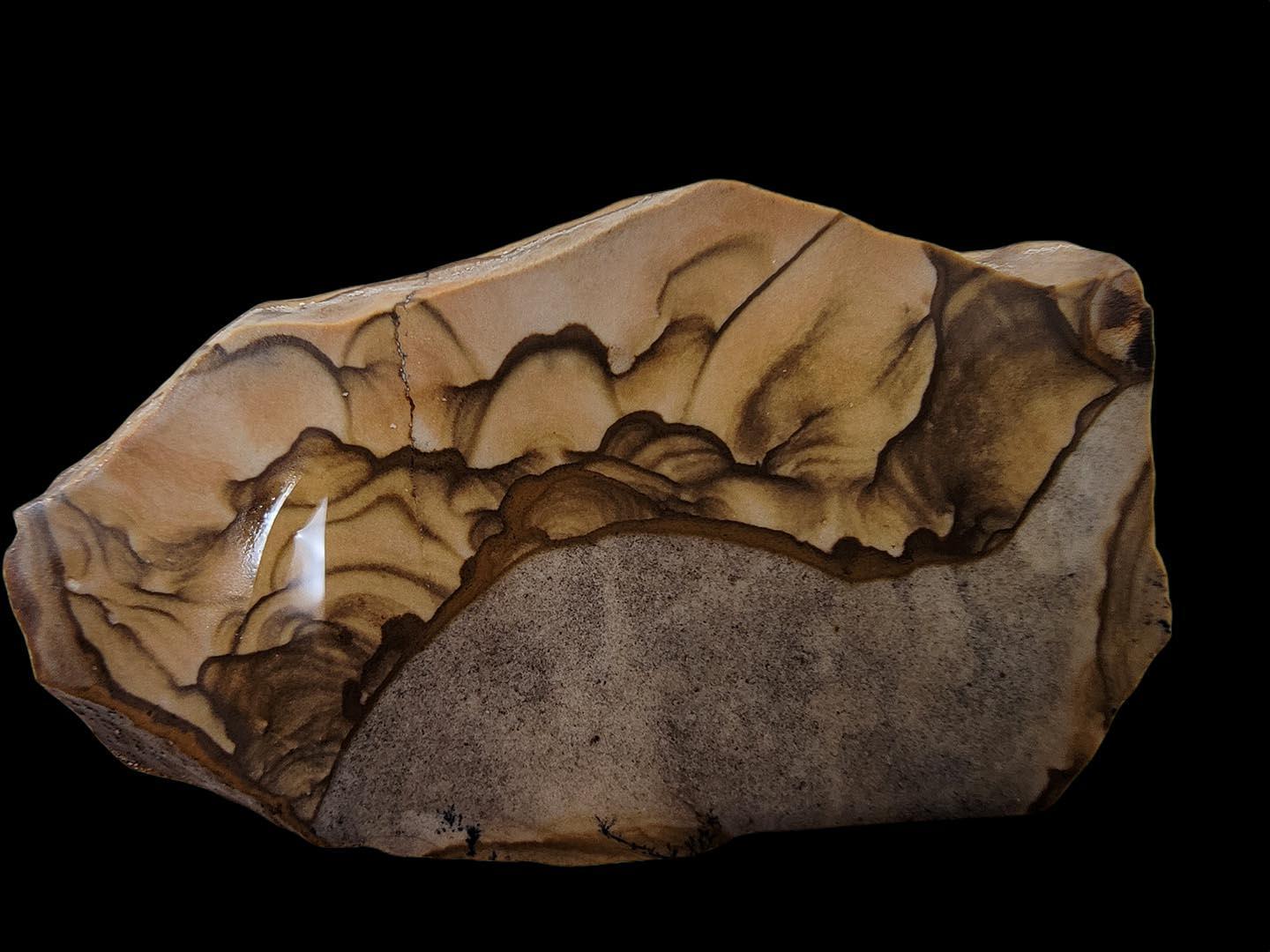 Old Stock Biggs Picture Jasper One Cab Slab! Lapidary Stone Slab! - LapidaryCentral