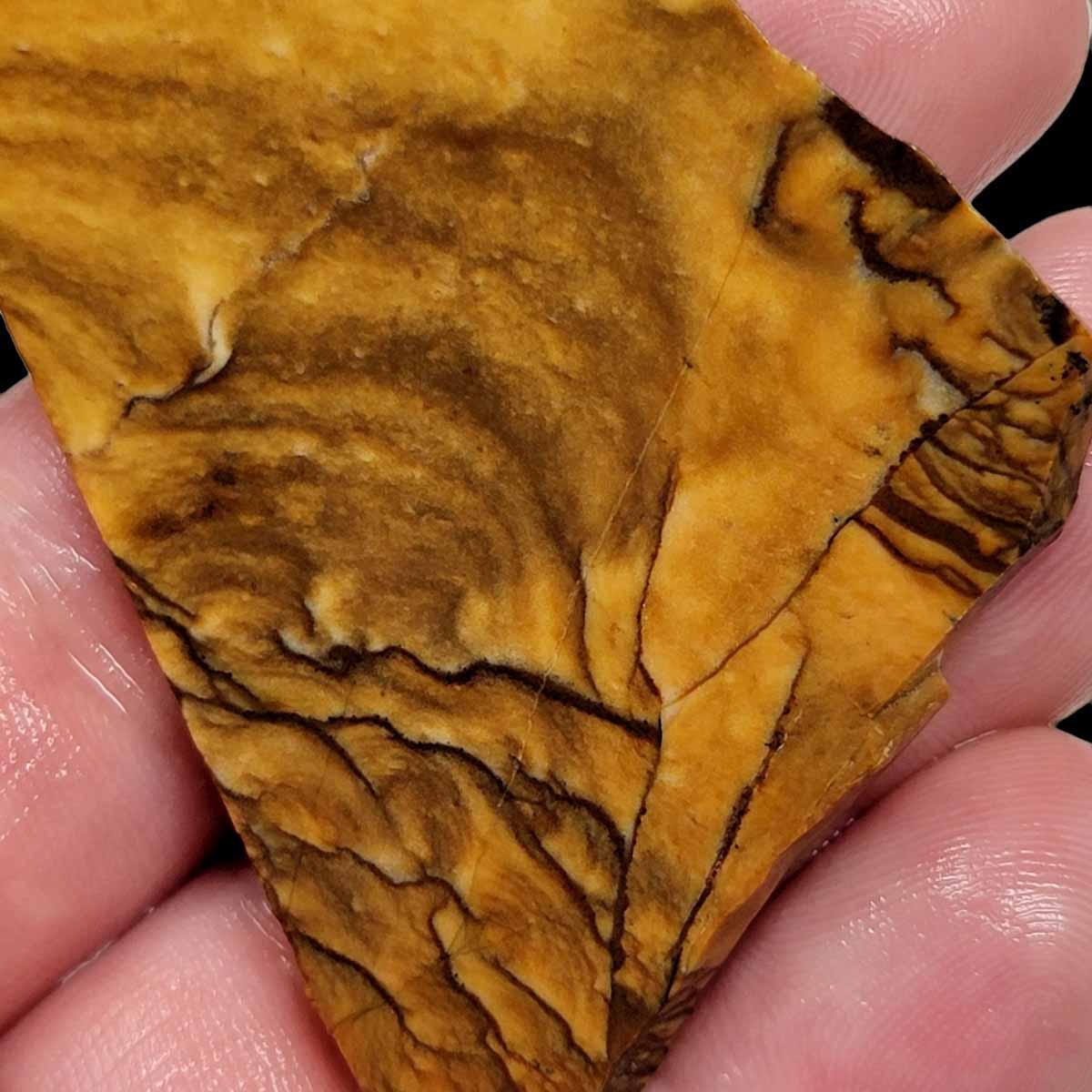 Old Stock Biggs Picture Jasper Slab! Lapidary Stone Slab! - LapidaryCentral