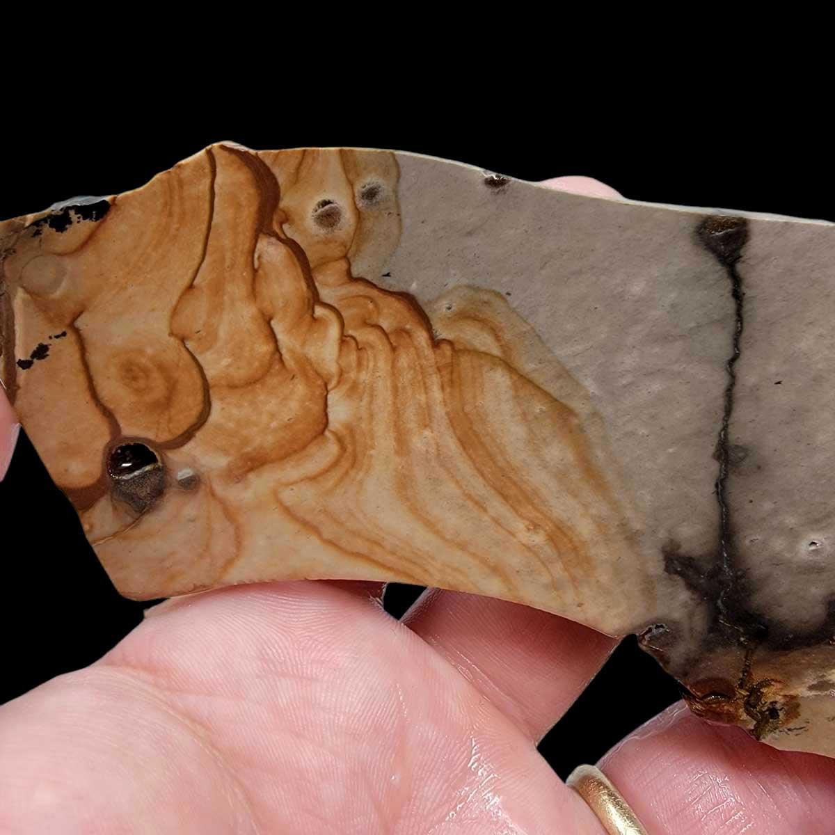 Old Stock Biggs Picture Jasper Slab! Lapidary Stone Slab! - LapidaryCentral