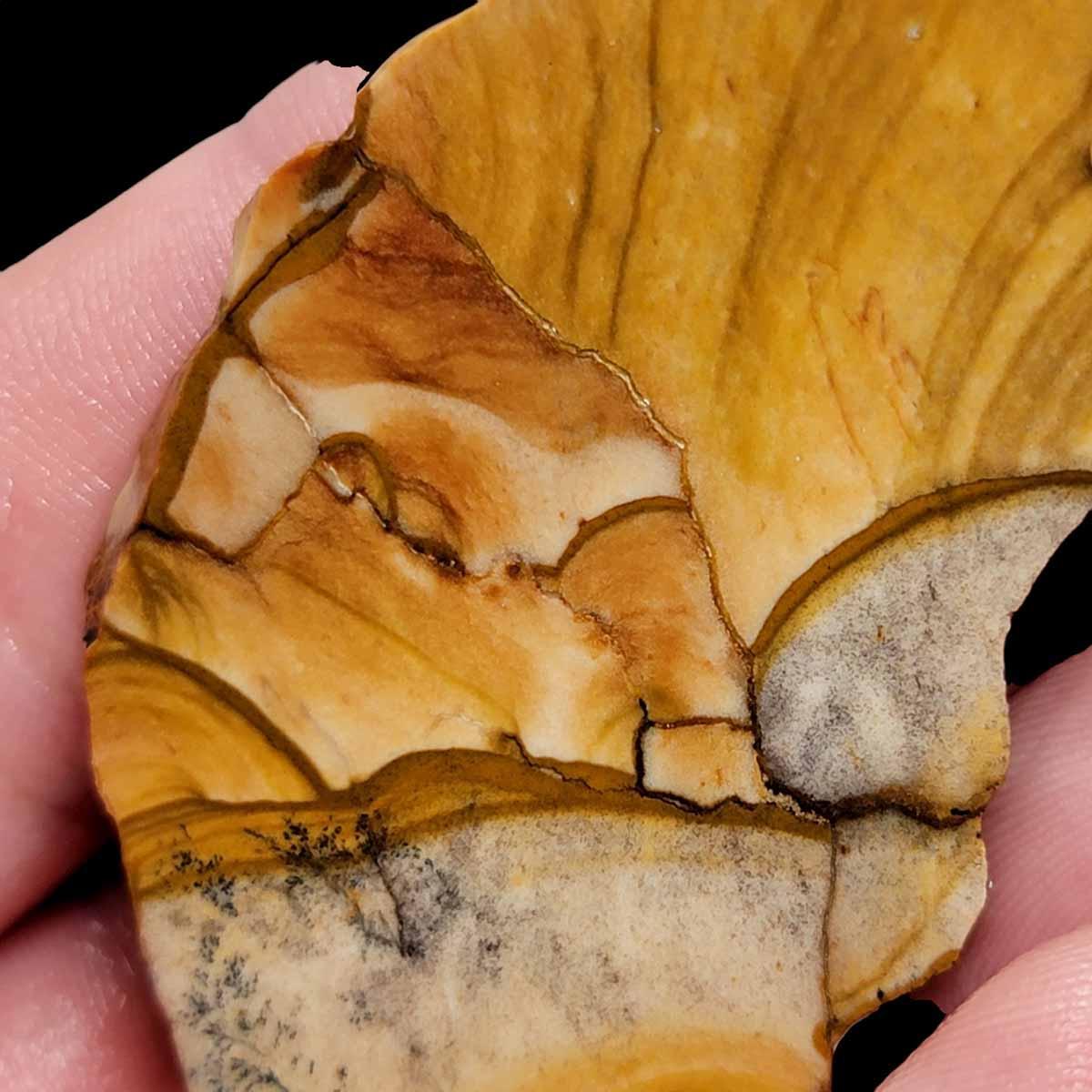 Old Stock Biggs Picture Jasper Slab! Lapidary Stone Slab! - LapidaryCentral