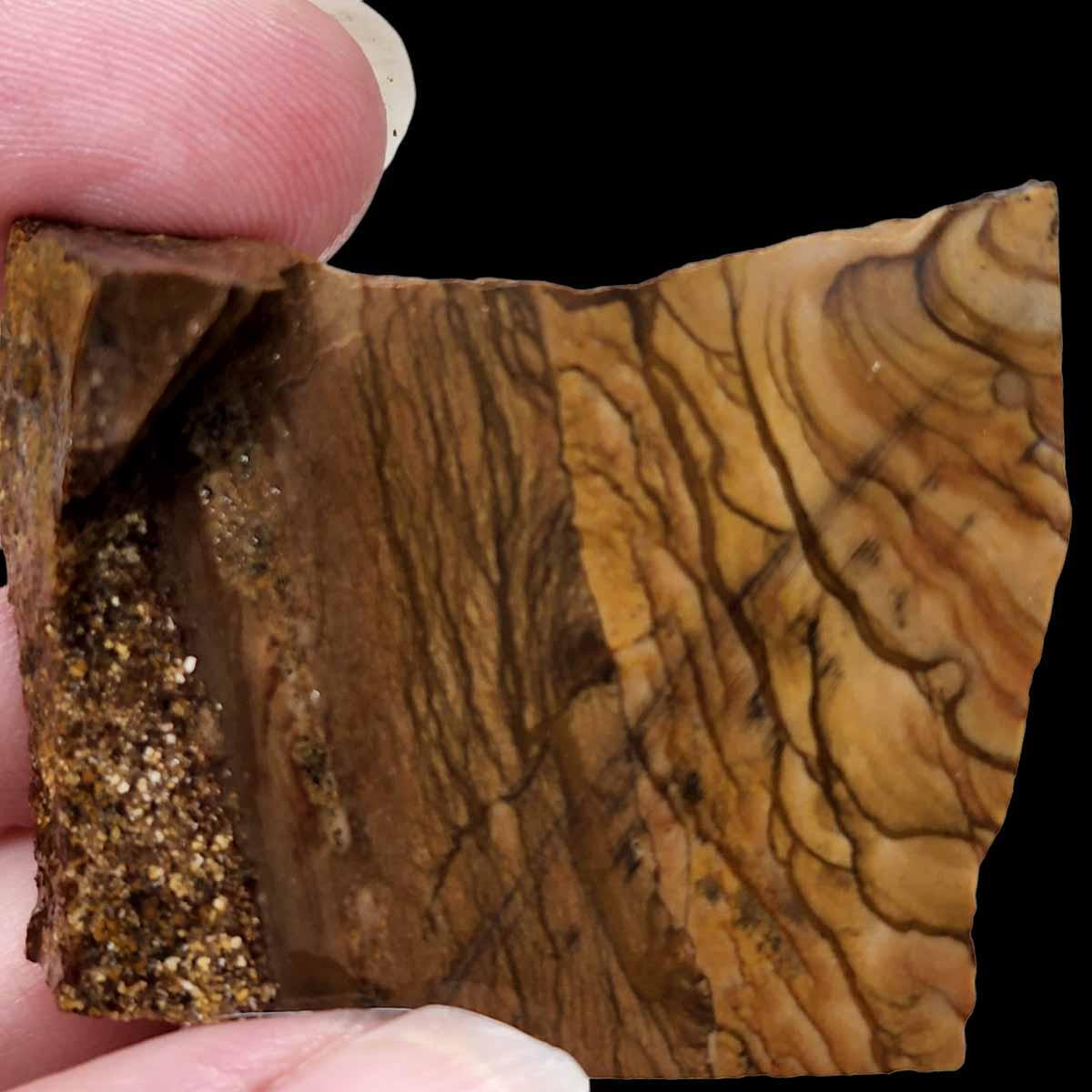 Old Stock Biggs Picture Jasper Slab! Lapidary Stone Slab! - LapidaryCentral