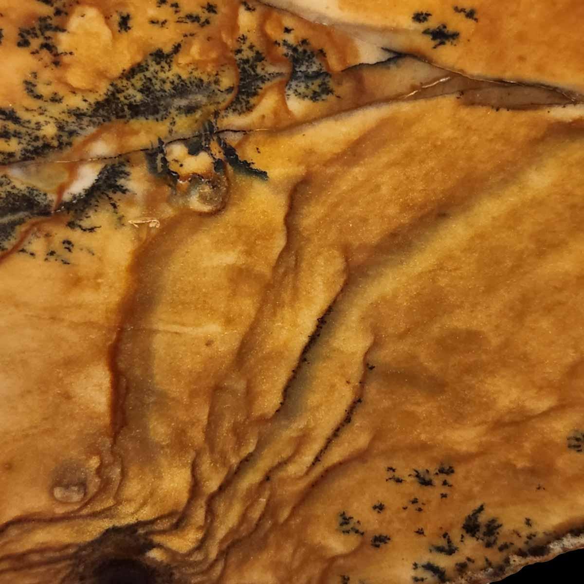 Old Stock Biggs Picture Jasper Slab! Lapidary Stone Slab! - LapidaryCentral