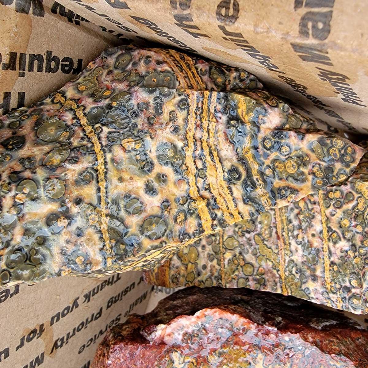 Mexican Rhyolite Trio Birdseye Leopardskin Wonderstone Rough Flatrate! - LapidaryCentral