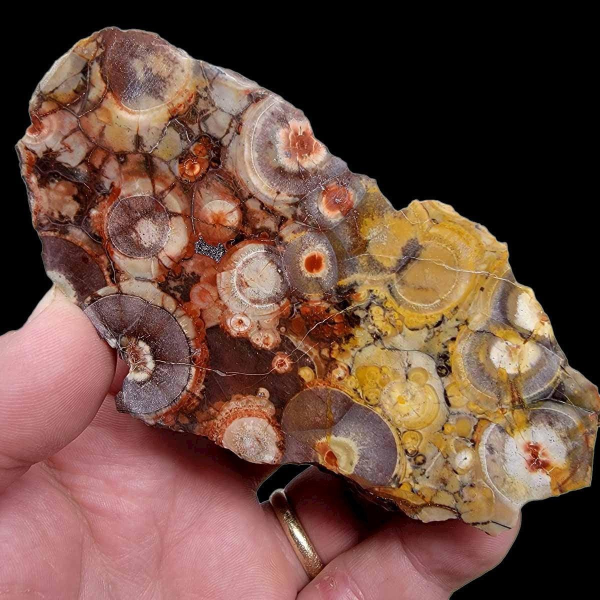 Polished Birdseye Rhyolite Display Specimen! - LapidaryCentral