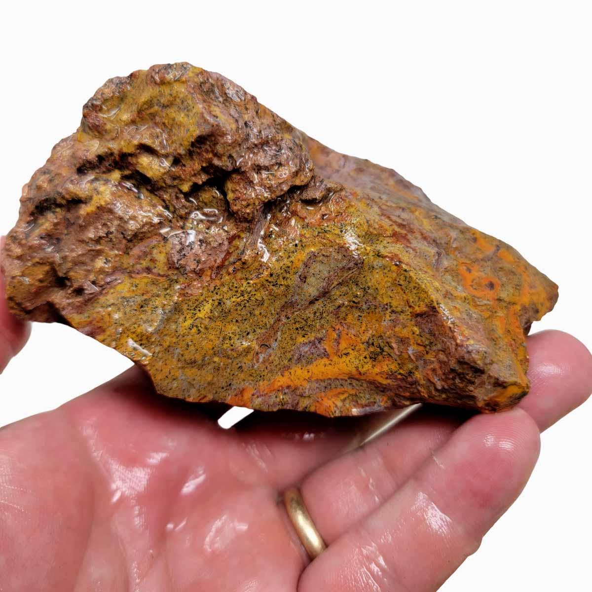 Hidden Canyon Moss Jasper Rough Chunk!