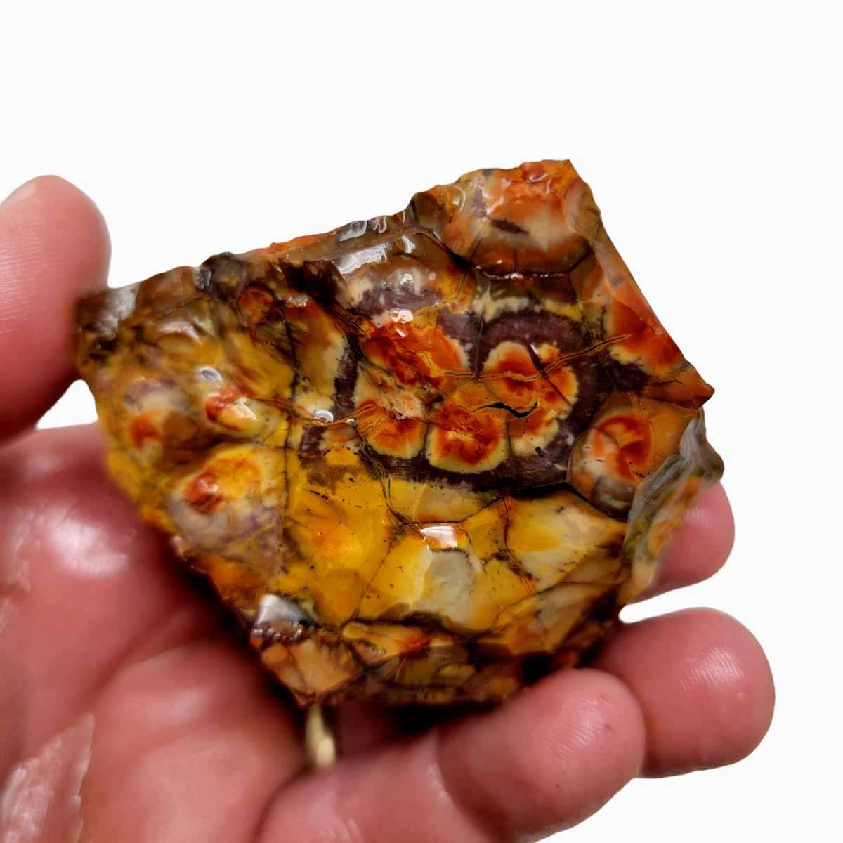 Old Stock Birdseye Rhyolite Rough Chunk! - LapidaryCentral