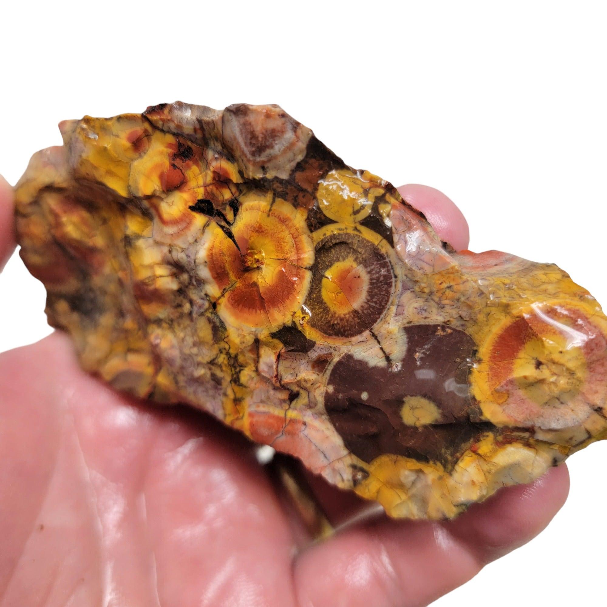 Old Stock Birdseye Rhyolite Rough Chunk! - Lapidary Central