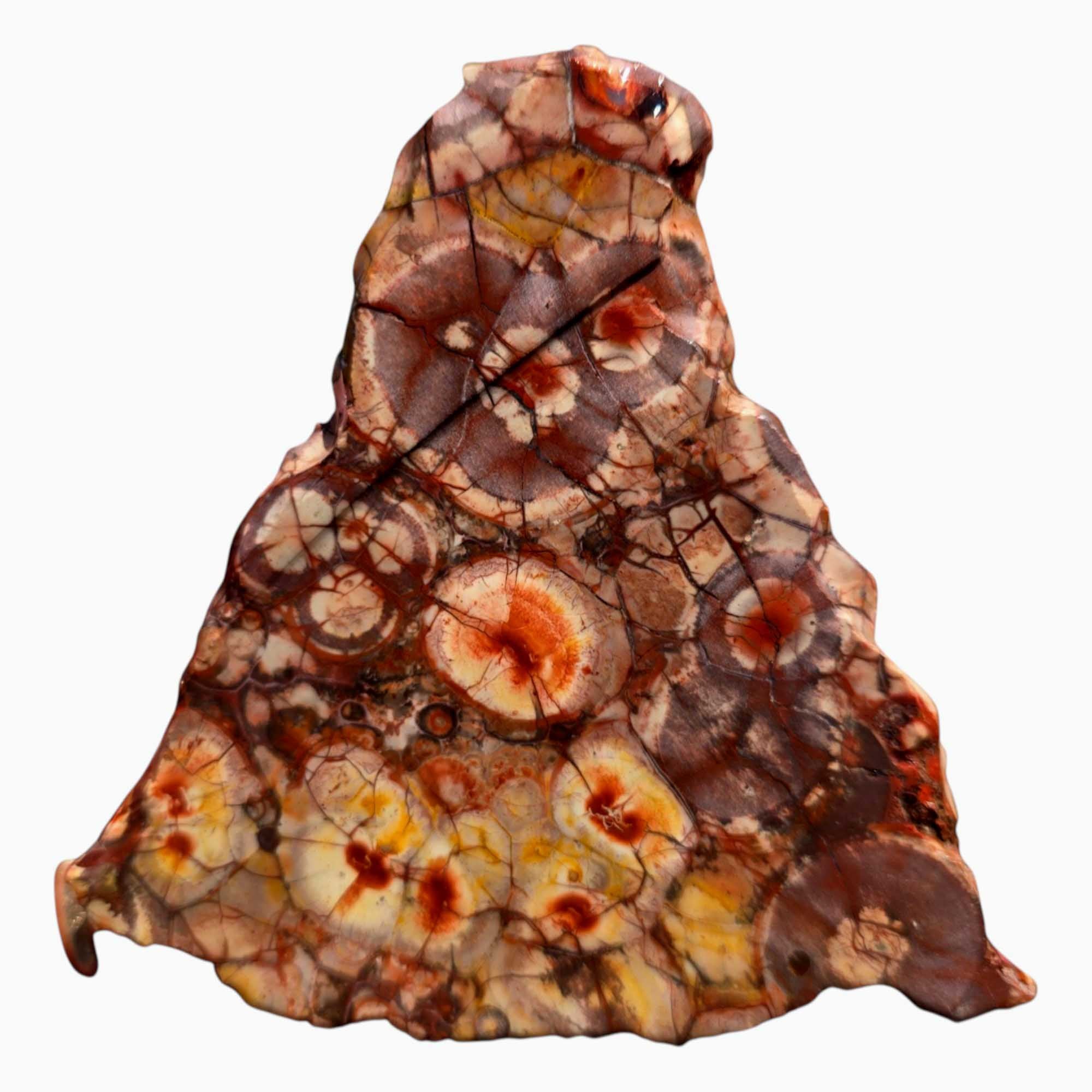 Old Stock Birdseye Rhyolite Slab – Triangular Cut with Pink & Purple Orbs