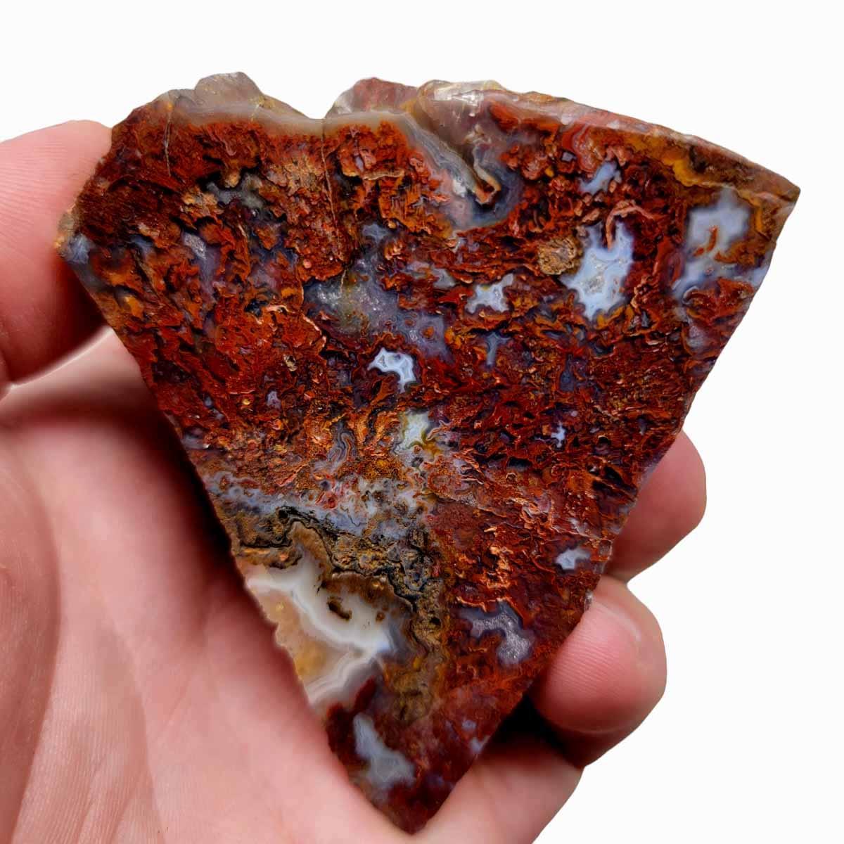 Polished Bloody Basin Agate Display Specimen! - LapidaryCentral