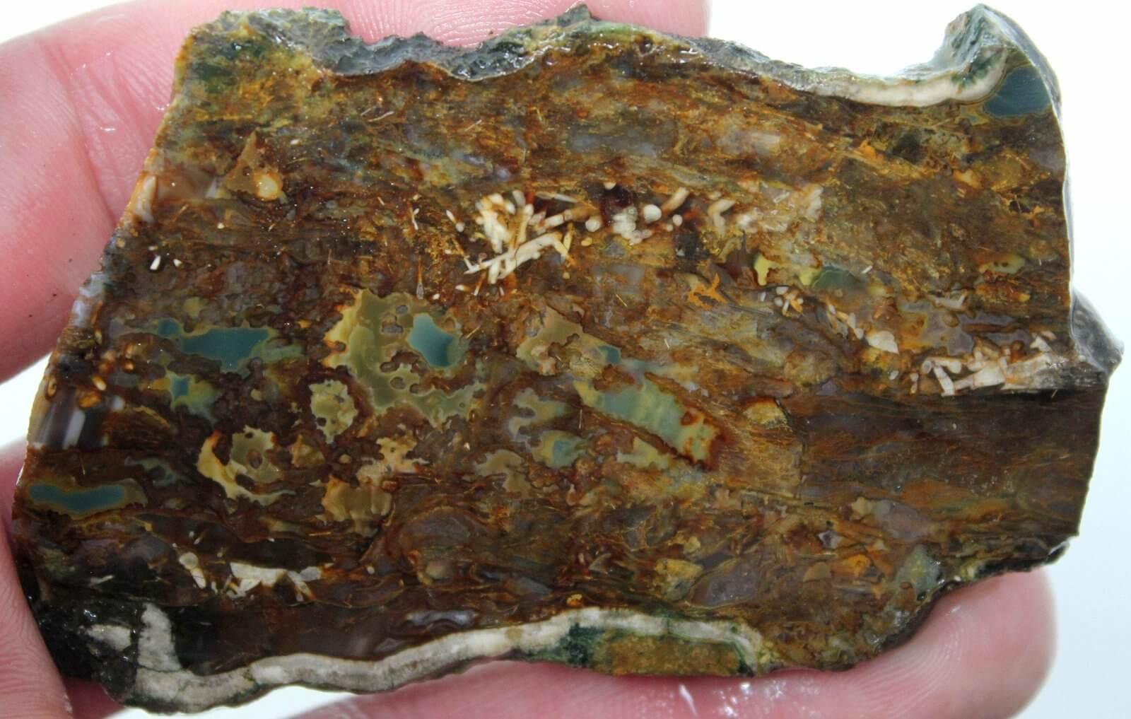 Mossy Blue Mountain Jasper Slab! Orbicular Oregon Jasper! - LapidaryCentral