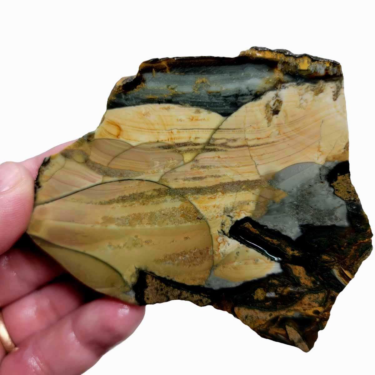 Blue Mountain Jasper Slab! Lapidary Stone Slab! - LapidaryCentral