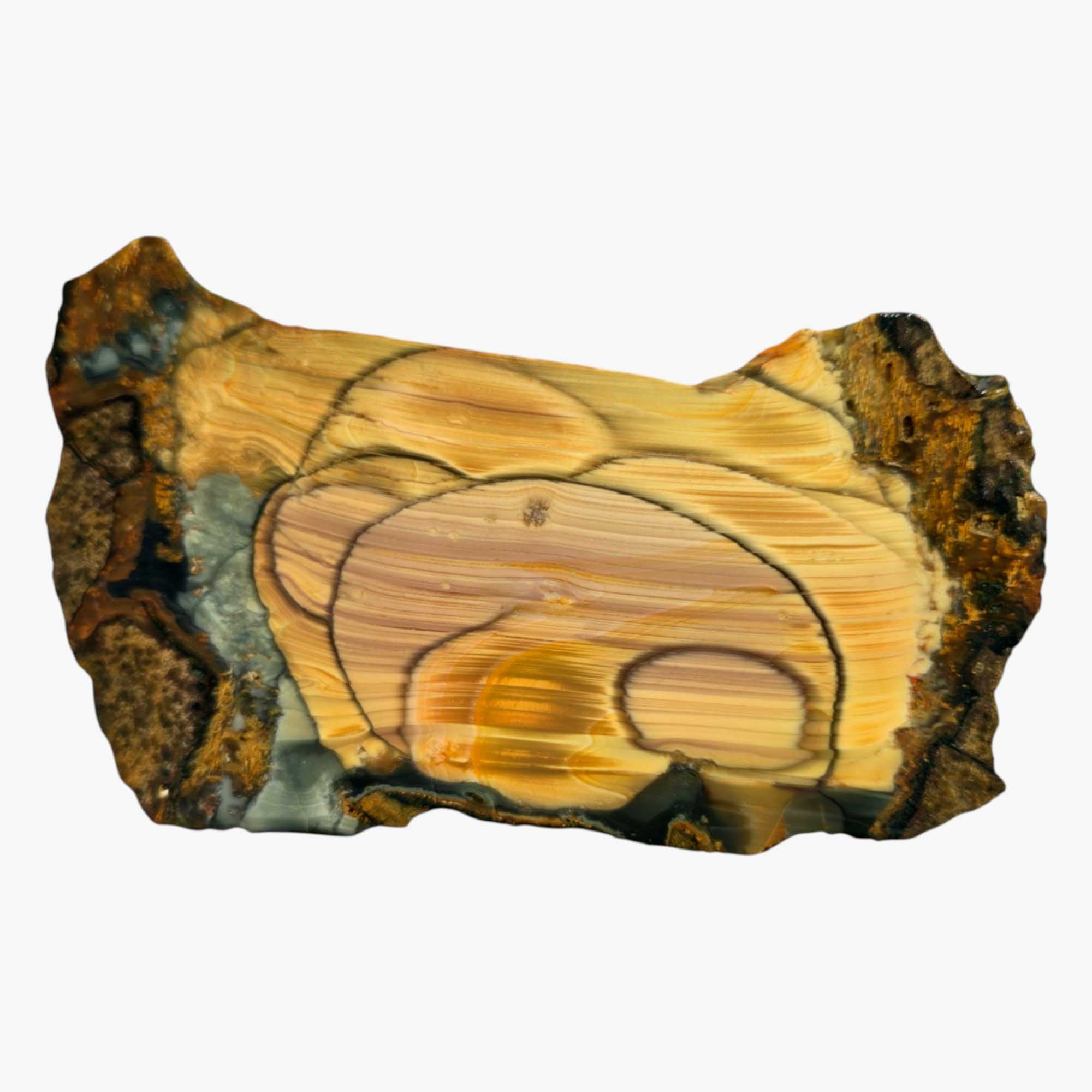 Blue Mountain Jasper Slab with Orbs & Paint Stroke Pattern – 5x3 Cut